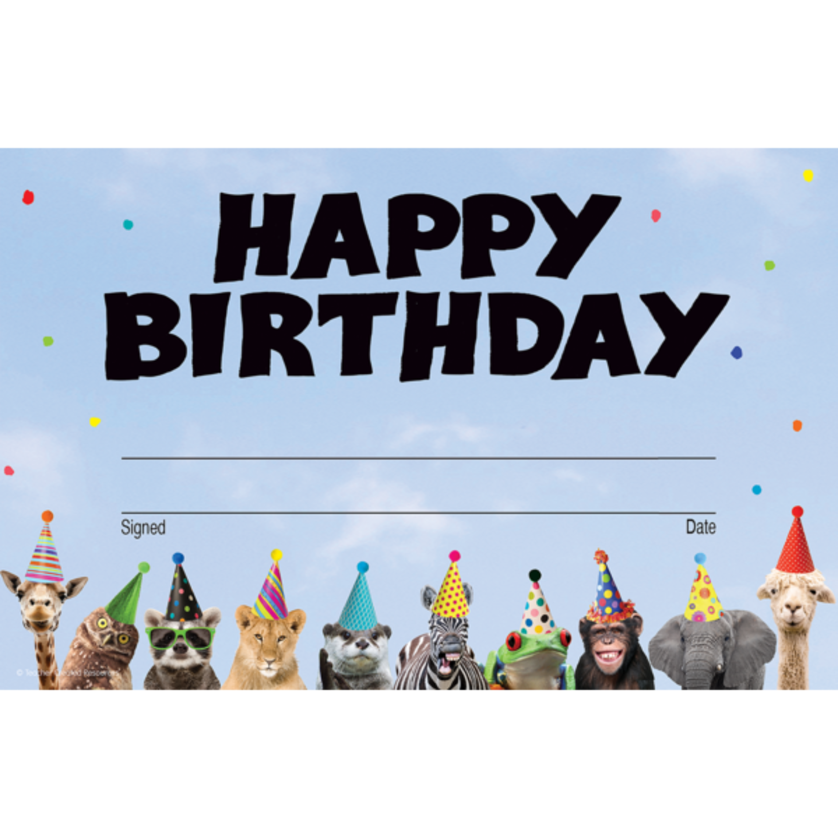 TEACHER CREATED RESOURCES Go Wild Animals Happy Birthday Awards