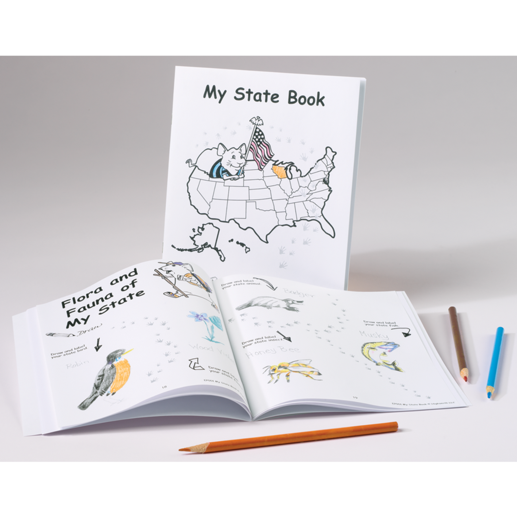 TEACHER CREATED RESOURCES My Own Books: My State Book