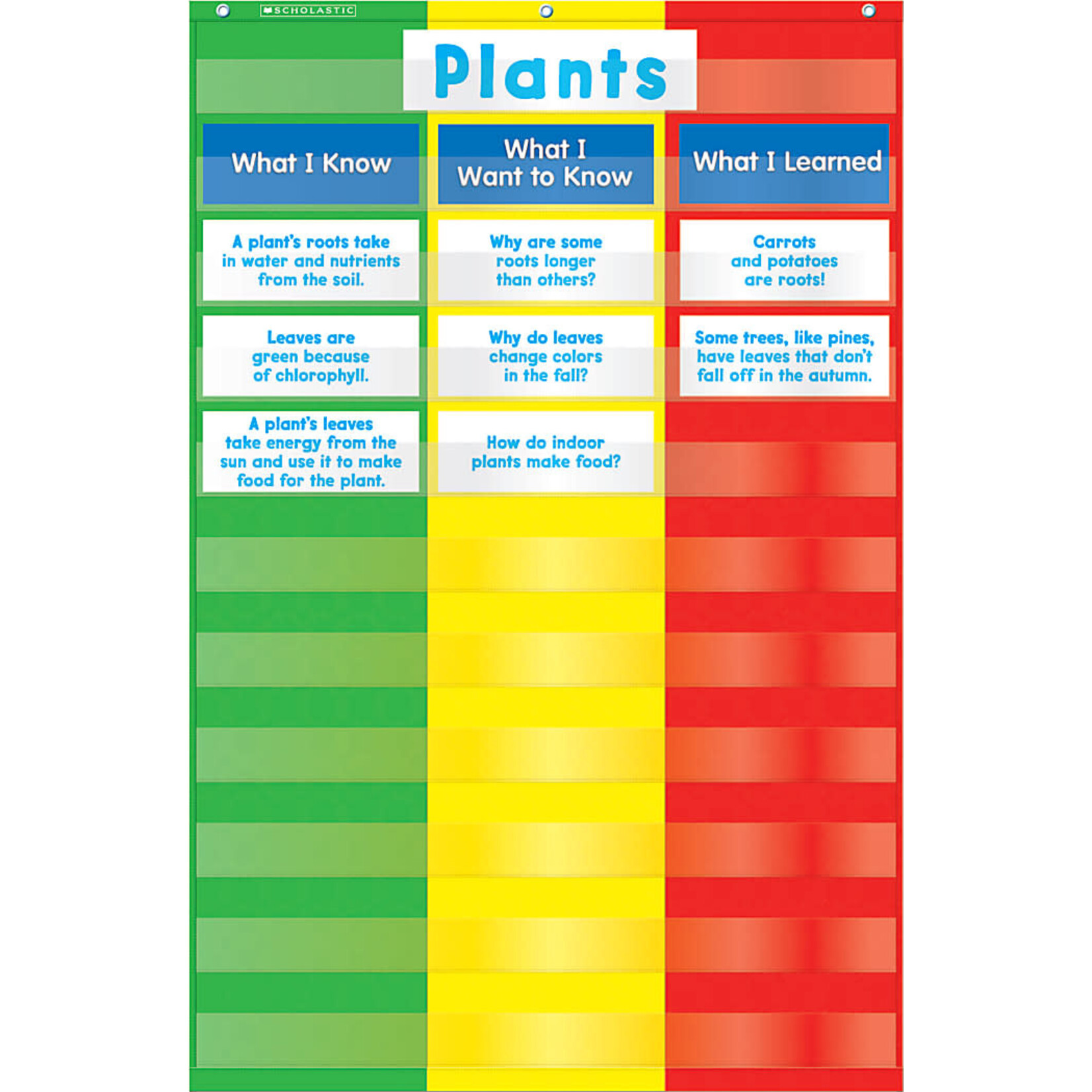3 Column Pocket Chart