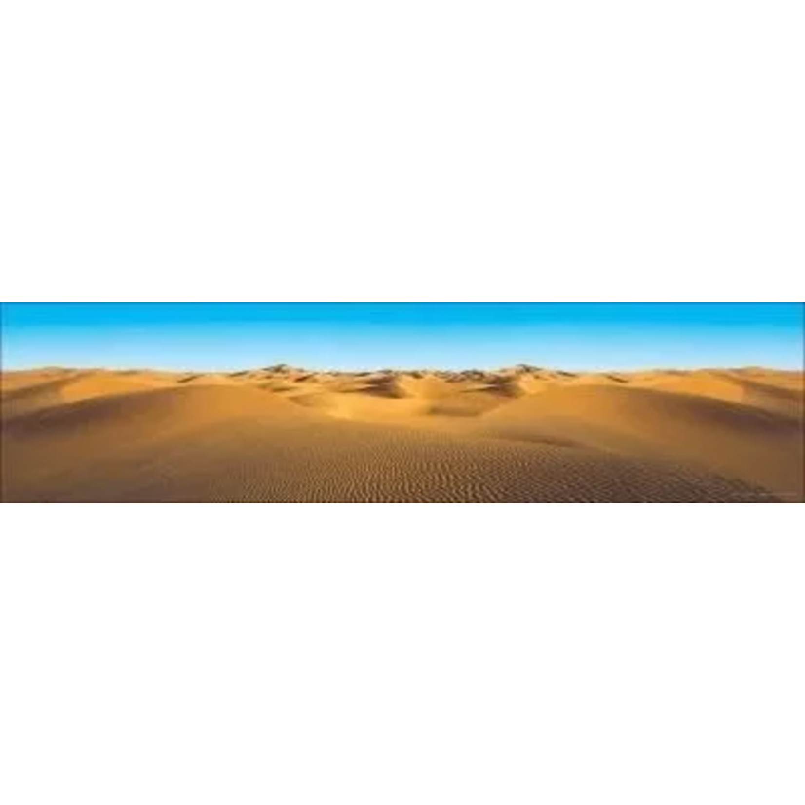 Sand Dune Jumbo Borders