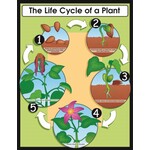 CARSON DELLOSA PUBLISHING CO The Life Cycle Of A Plant Chart