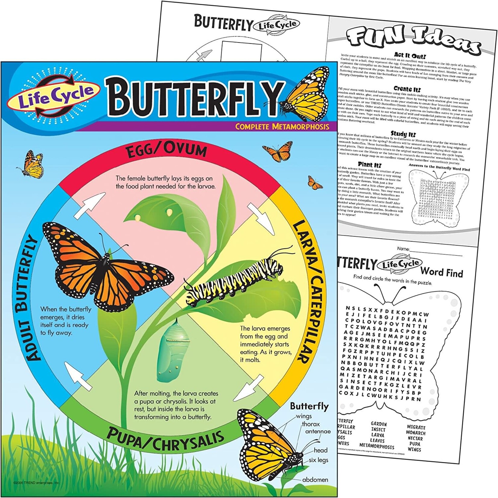 TREND ENTERPRISES INC Life Cycle Of A Butterfly Chart