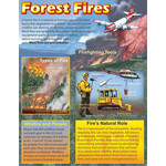 CARSON DELLOSA PUBLISHING CO Forest Fires Poster