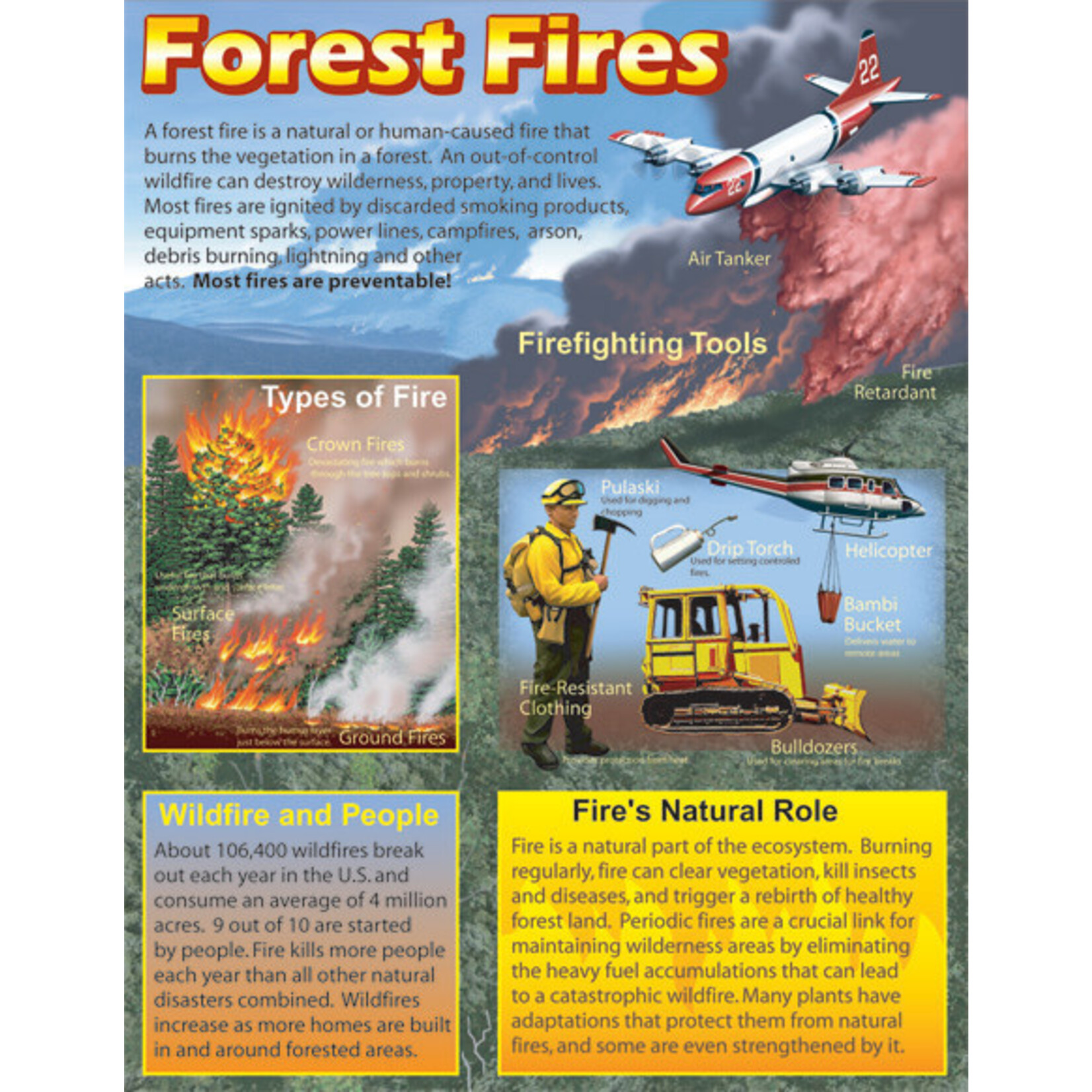 CARSON DELLOSA PUBLISHING CO Forest Fires Poster