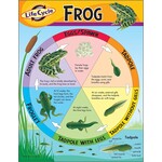 TREND ENTERPRISES INC Life Cycle Of A Frog Chart