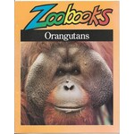 Orangutans (Zoobooks Series)