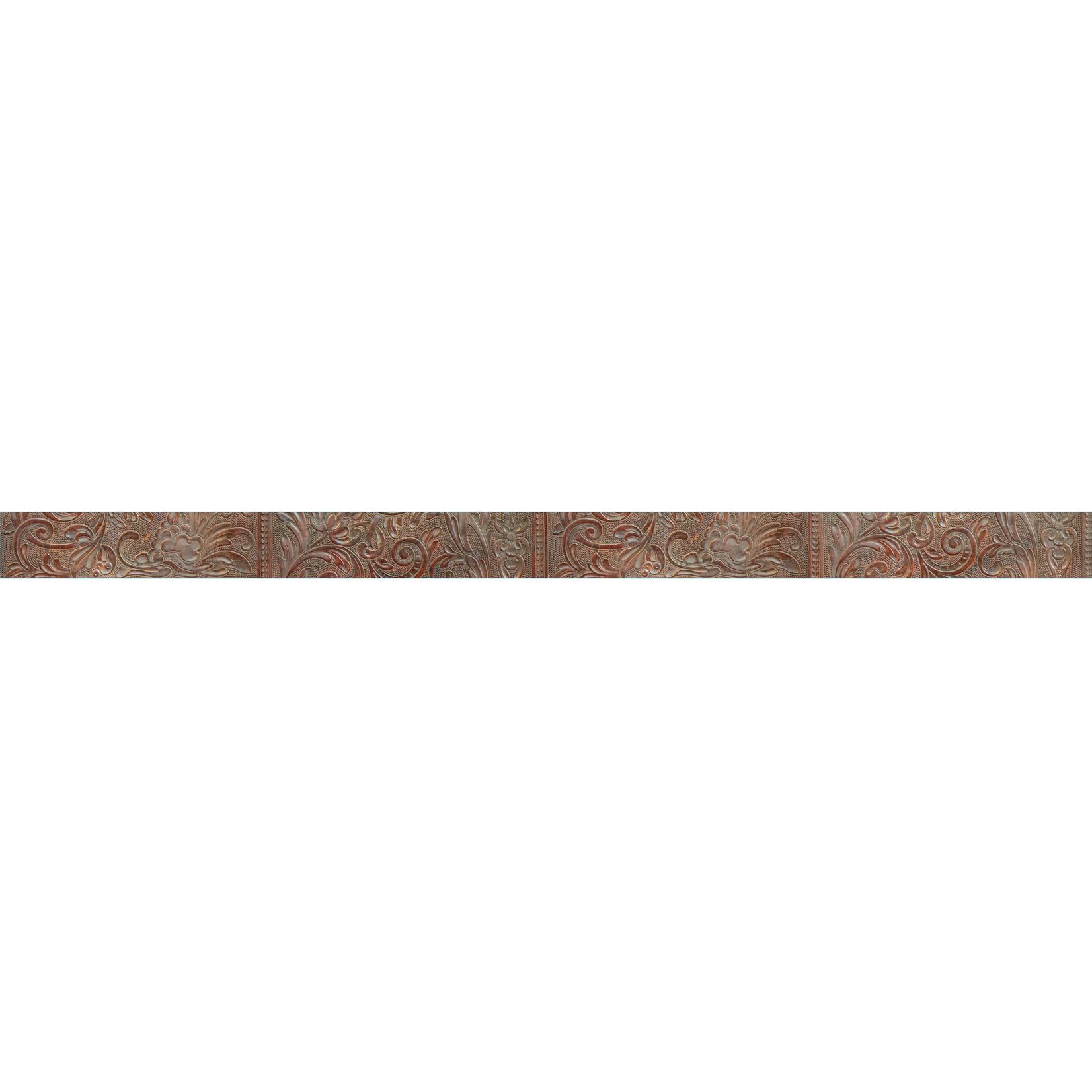 Wild Wild Classroom Western Leather Deco Trim