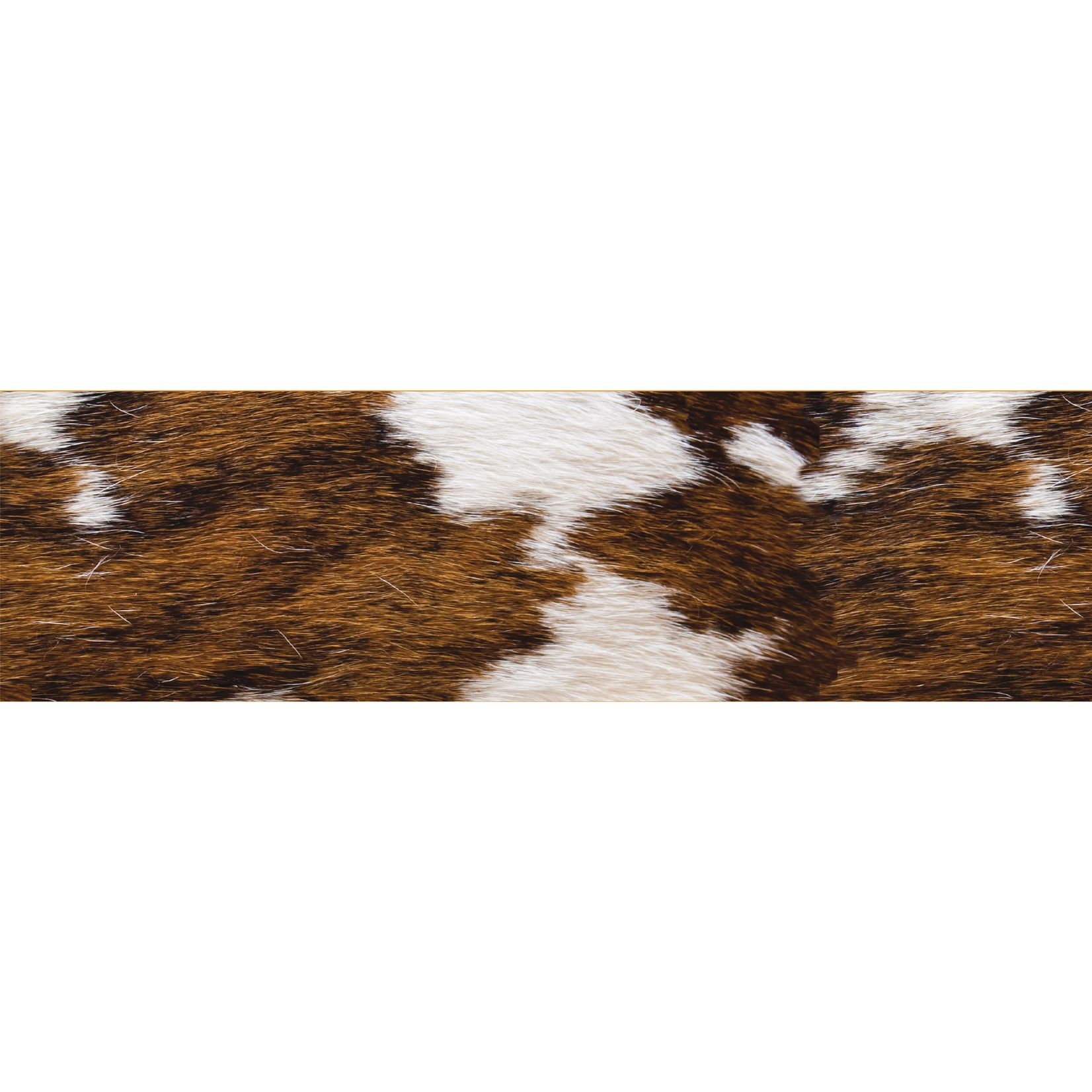 Wild Wild Classroom Cowhide Deco Trim Extra Wide Die-Cut