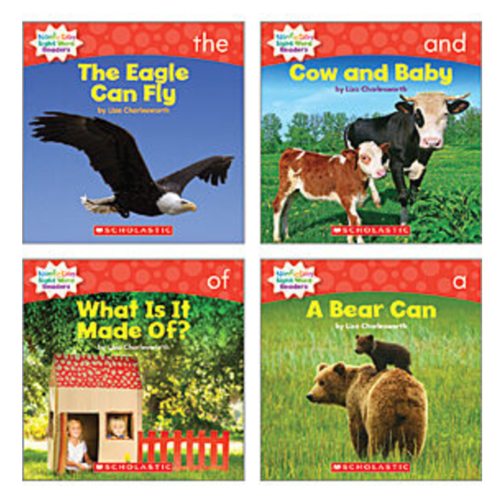SCHOLASTIC TEACHING RESOURCES Nonfiction Sight Word Readers Level A