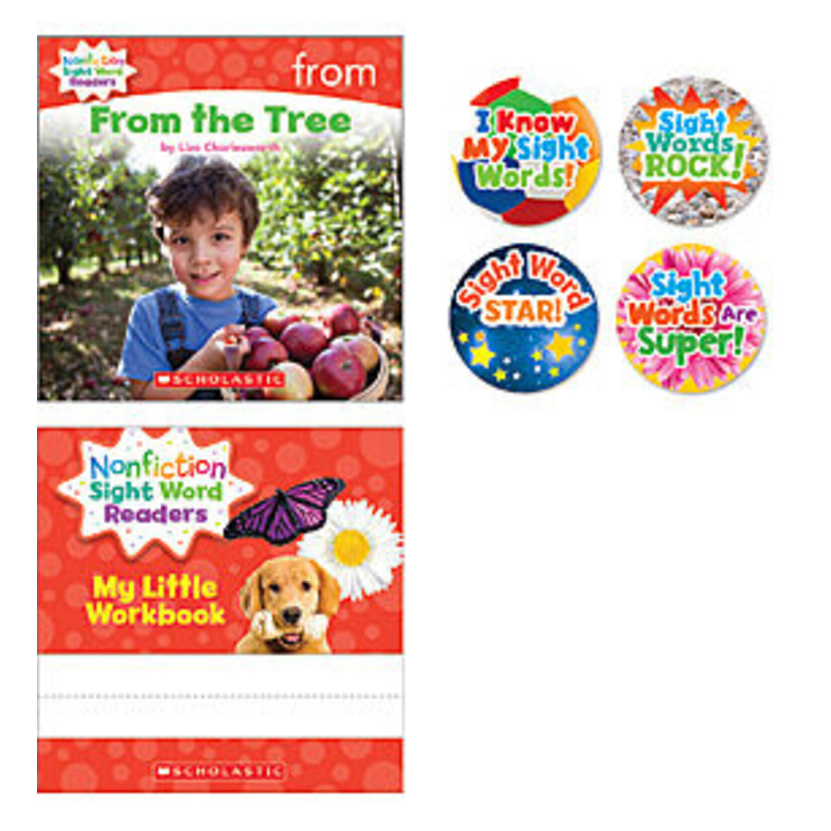 SCHOLASTIC TEACHING RESOURCES Nonfiction Sight Word Readers Level A