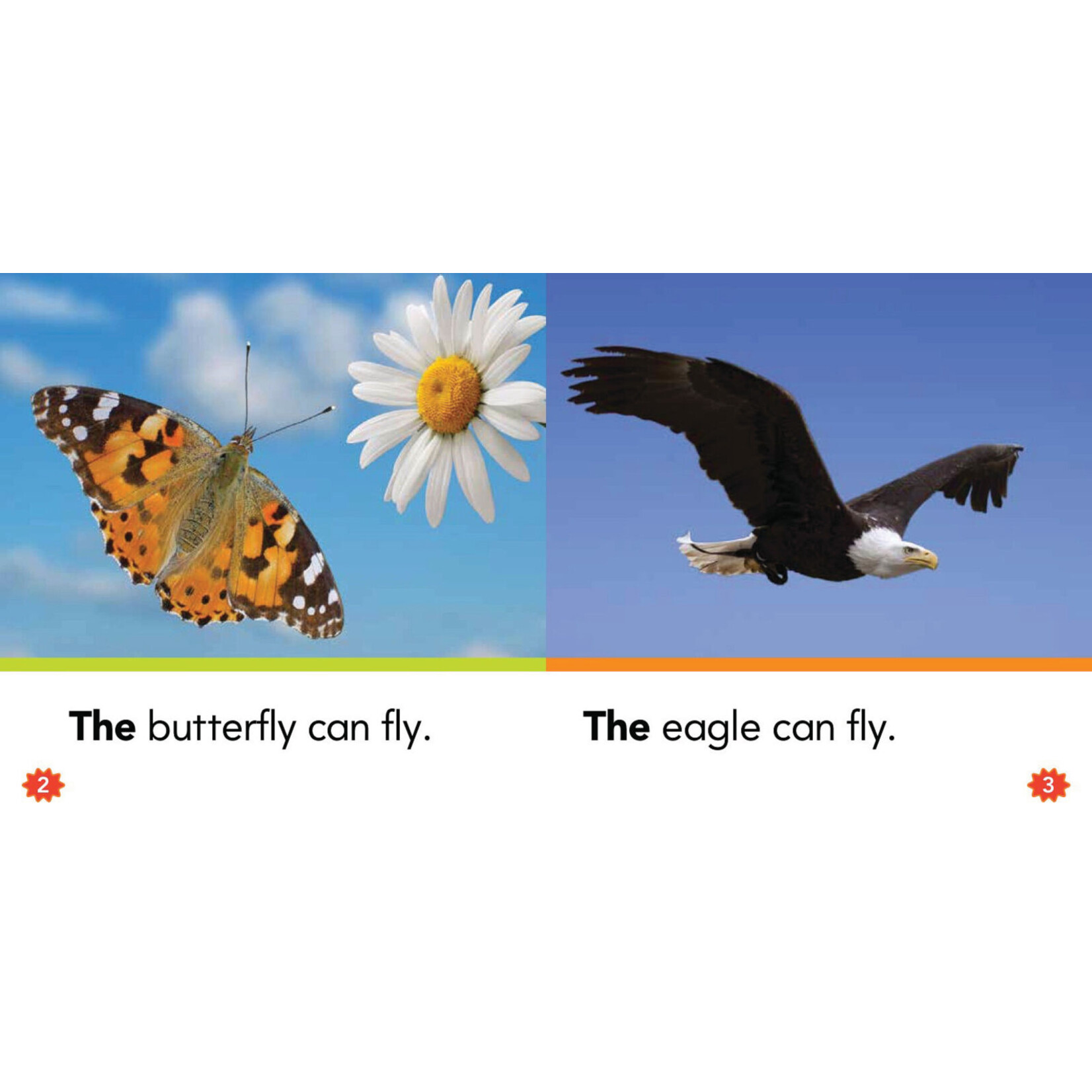 SCHOLASTIC TEACHING RESOURCES Nonfiction Sight Word Readers Level A