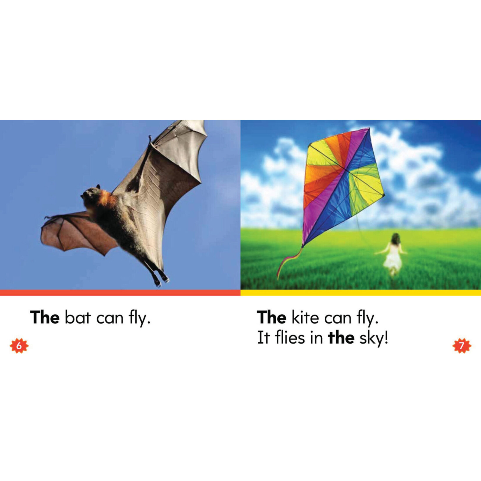 SCHOLASTIC TEACHING RESOURCES Nonfiction Sight Word Readers Level A