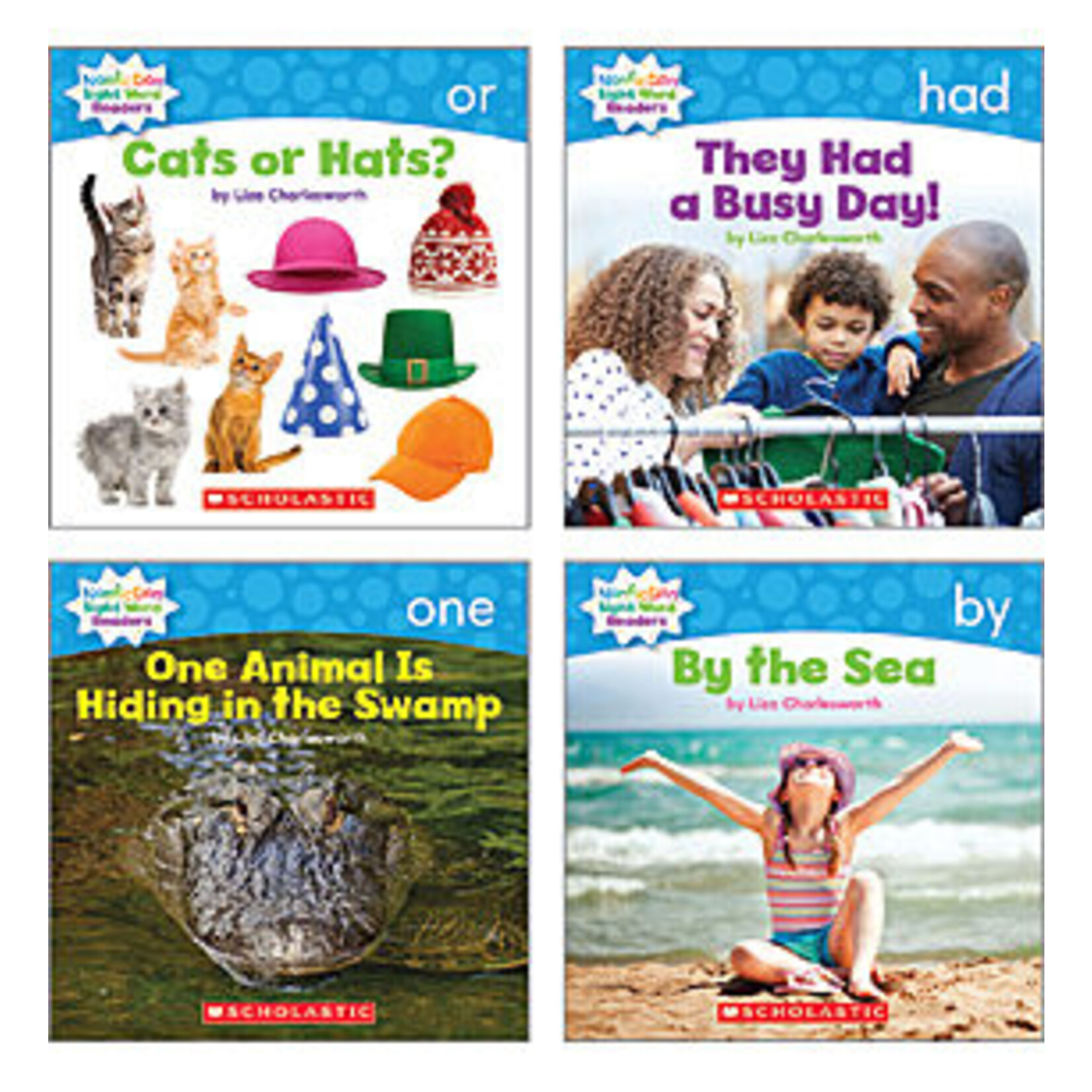 SCHOLASTIC TEACHING RESOURCES Nonfiction Sight Word Readers Level B