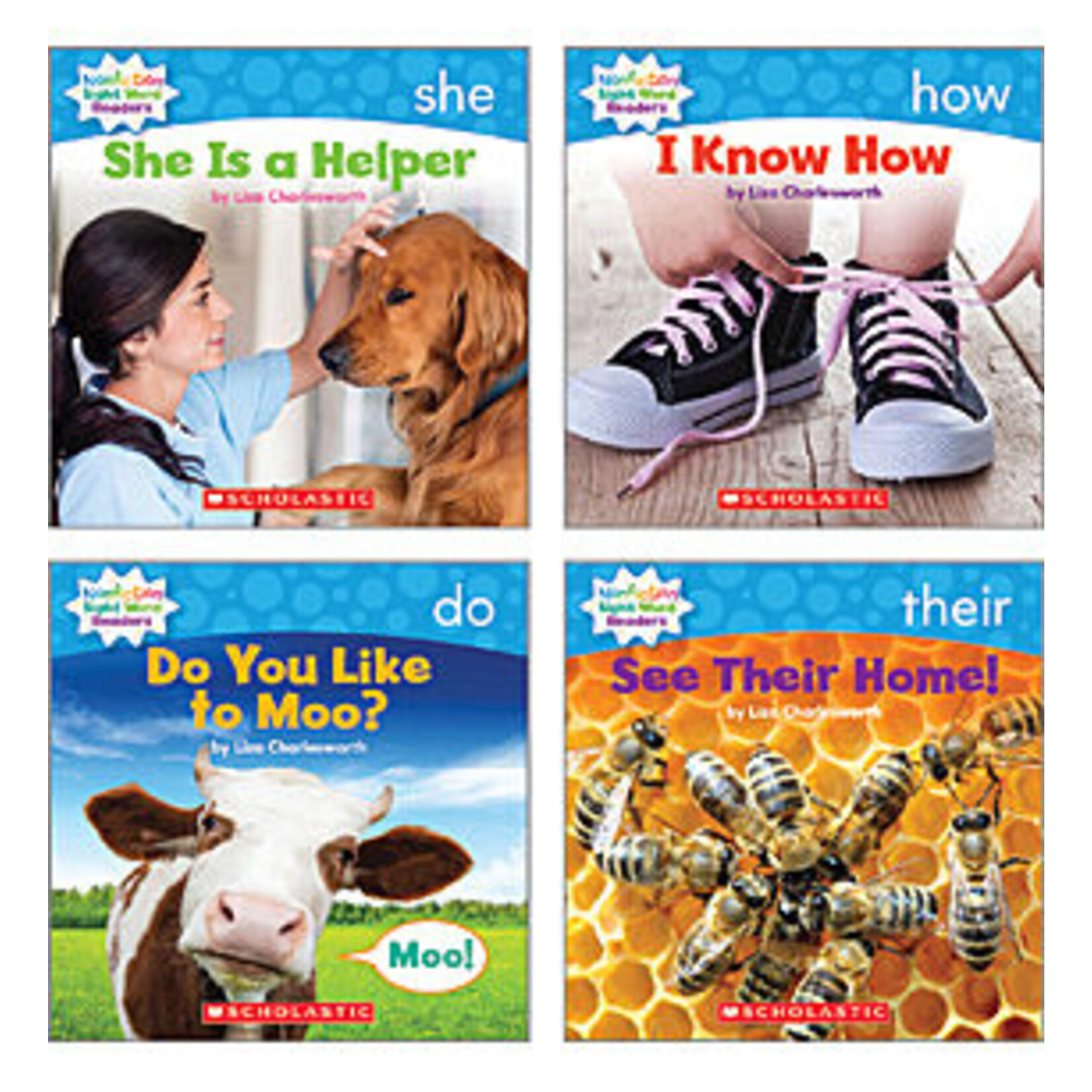 SCHOLASTIC TEACHING RESOURCES Nonfiction Sight Word Readers Level B