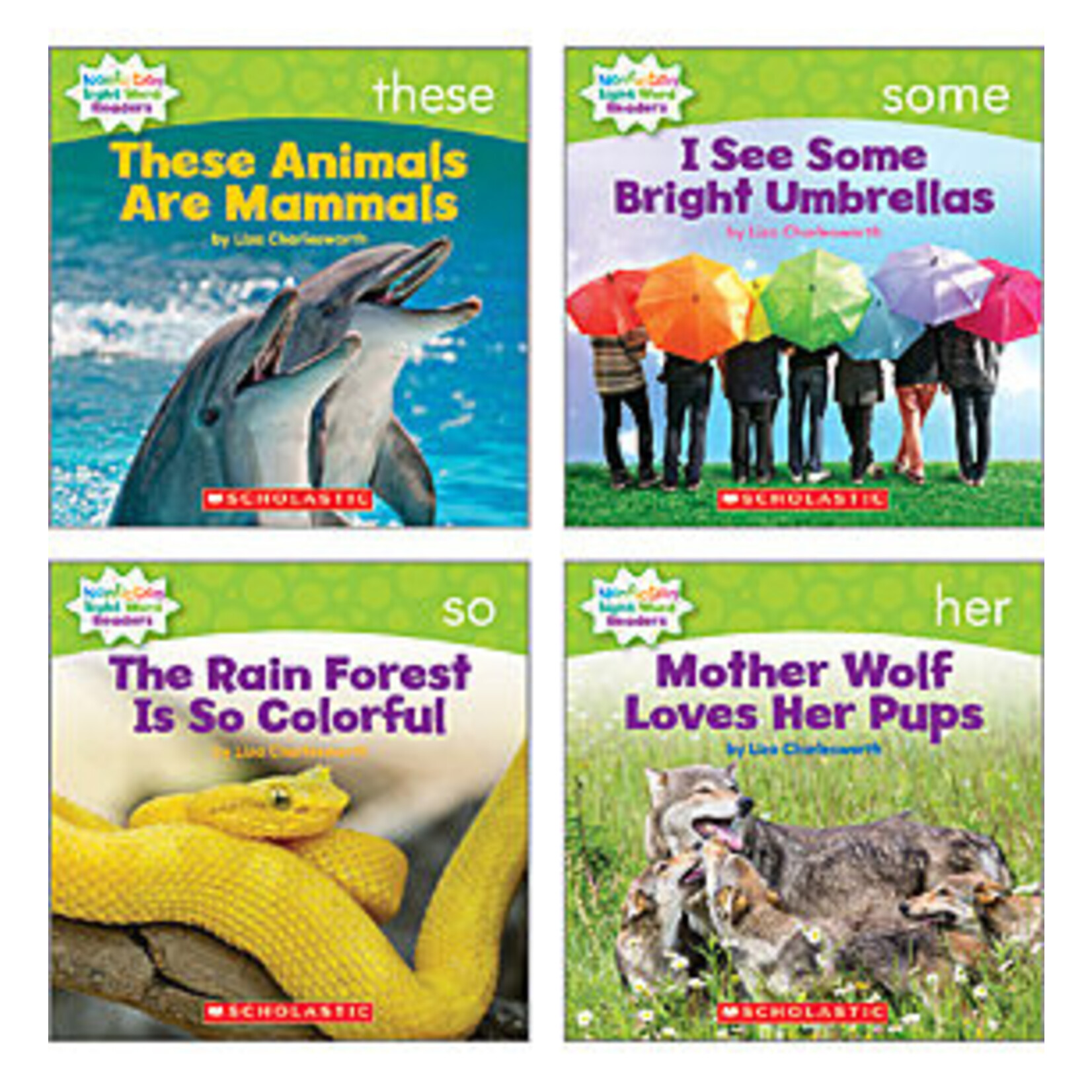 SCHOLASTIC TEACHING RESOURCES Nonfiction Sight Word Readers Level C