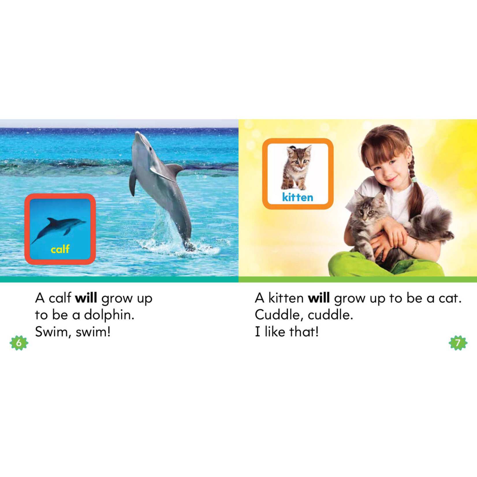 SCHOLASTIC TEACHING RESOURCES Nonfiction Sight Word Readers Level C