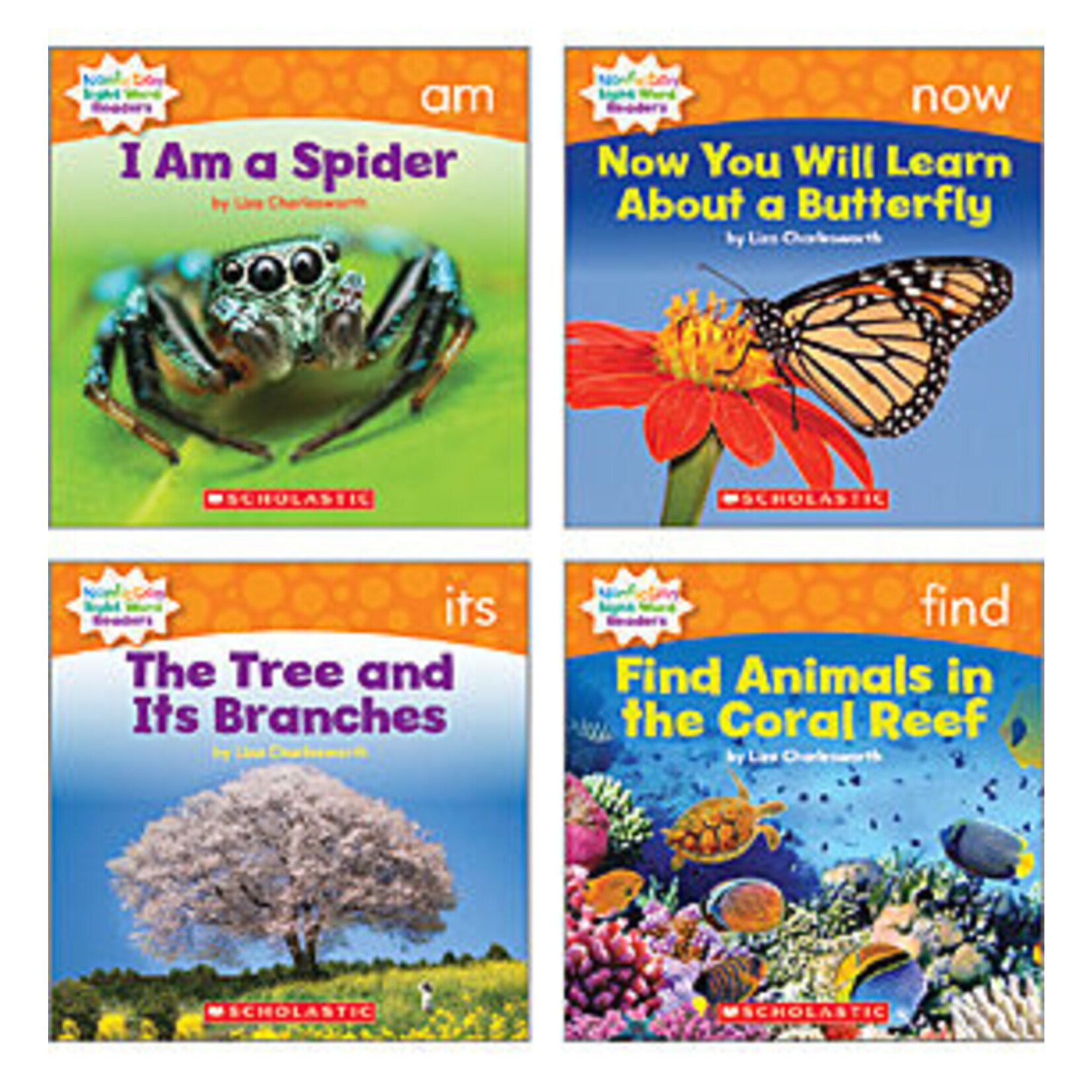 SCHOLASTIC TEACHING RESOURCES Nonfiction Sight Word Readers Level D