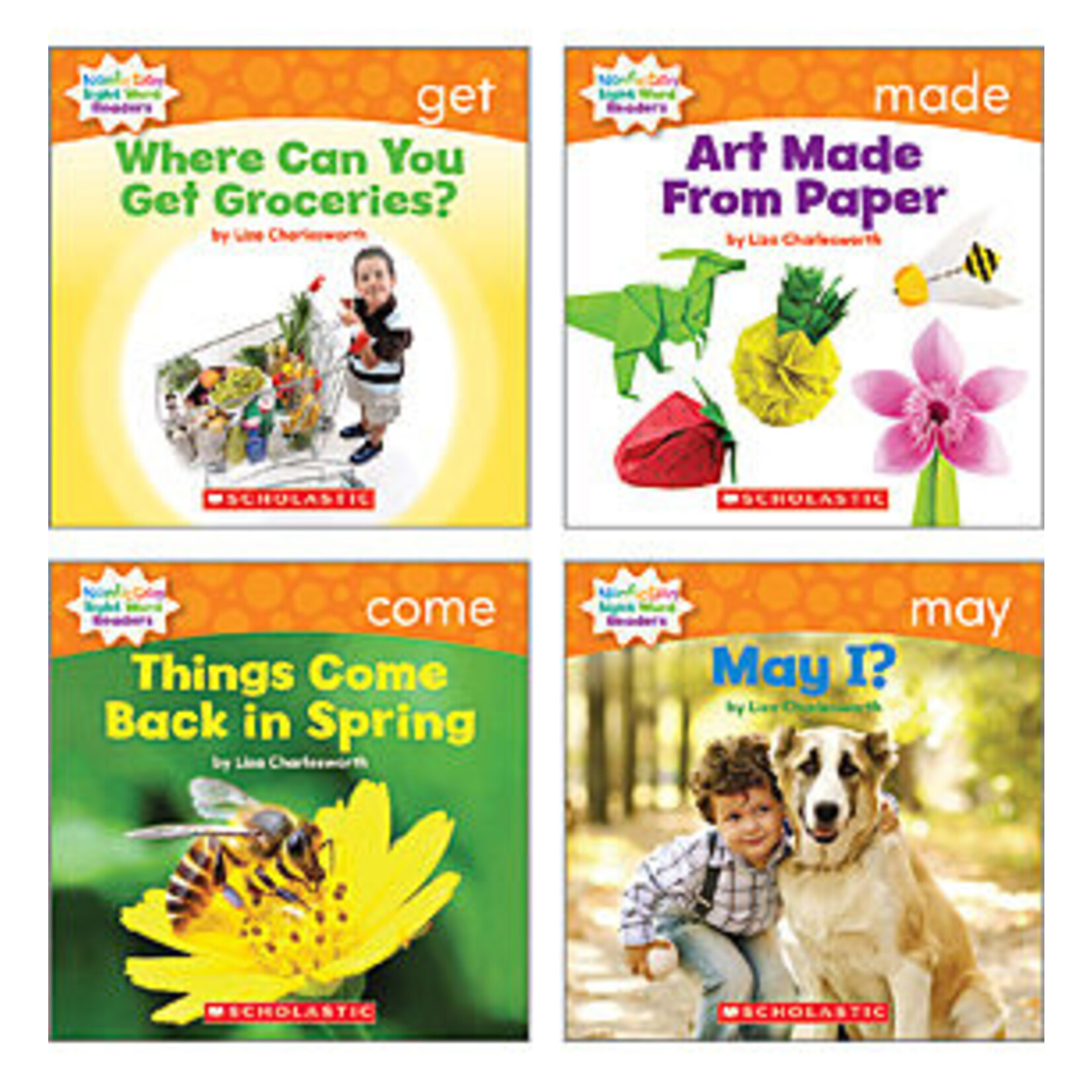 SCHOLASTIC TEACHING RESOURCES Nonfiction Sight Word Readers Level D