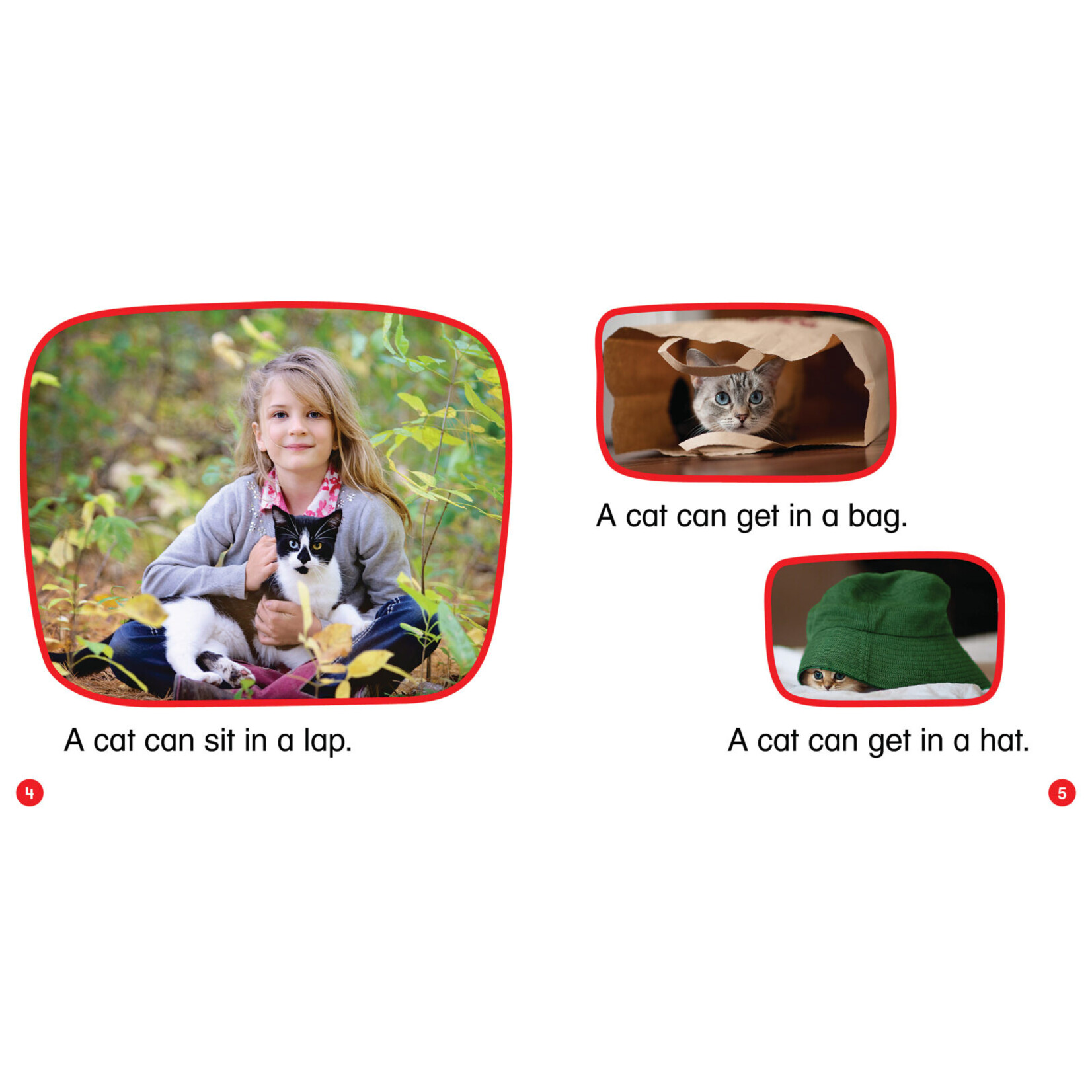 SCHOLASTIC TEACHING RESOURCES Nonfiction Phonics Readers Set 1: Short Vowels, Blends & More