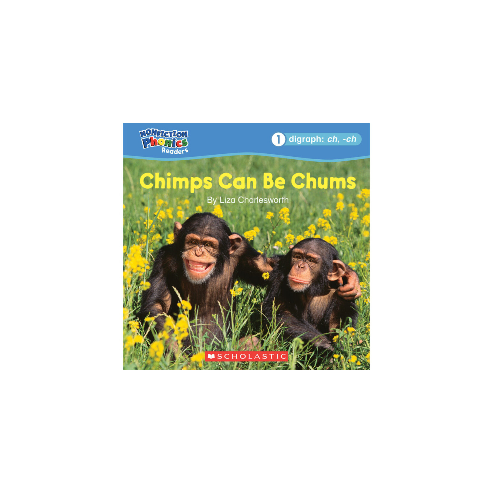 SCHOLASTIC TEACHING RESOURCES Nonfiction Phonics Readers Set 2: Long Vowels, Digraphs & More