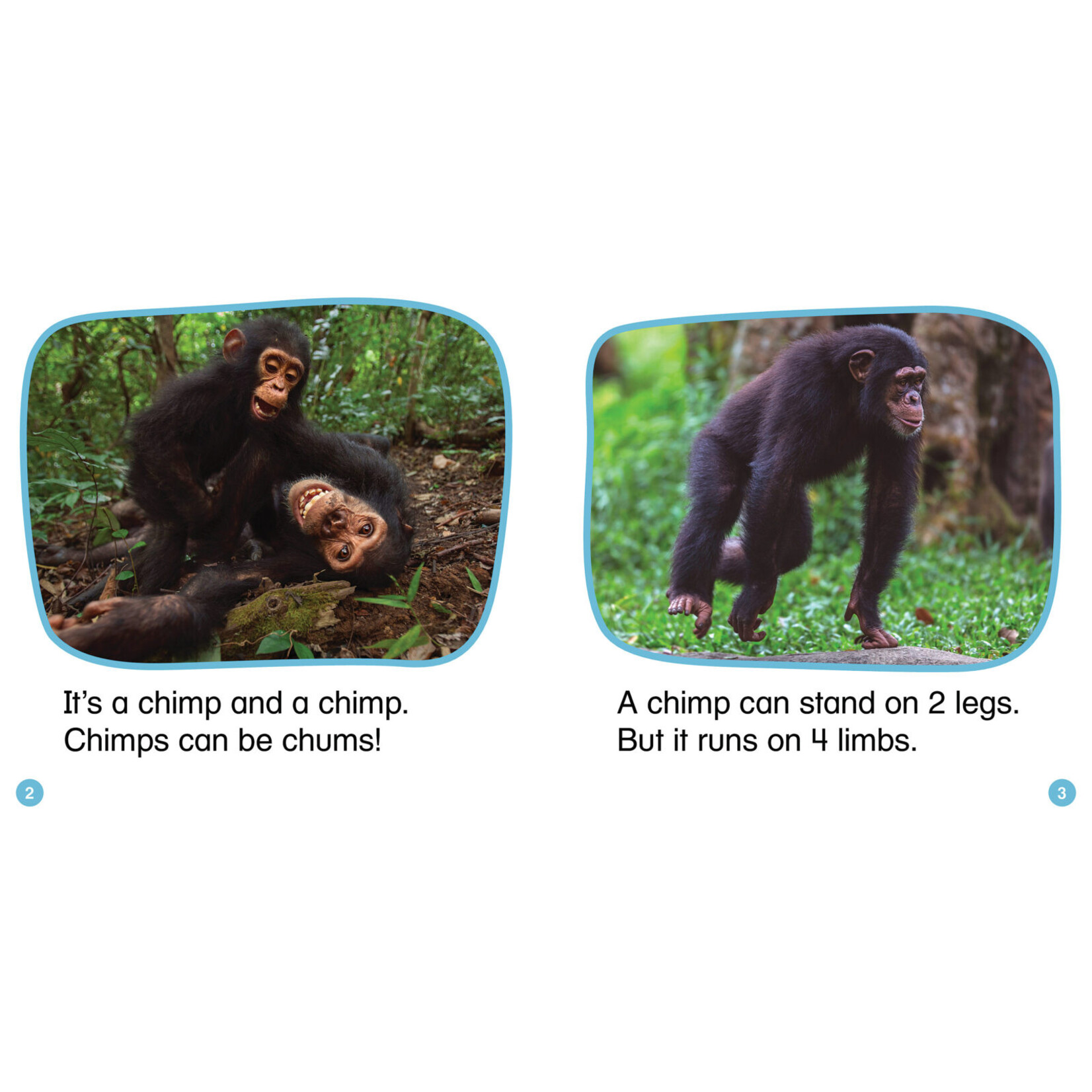 SCHOLASTIC TEACHING RESOURCES Nonfiction Phonics Readers Set 2: Long Vowels, Digraphs & More