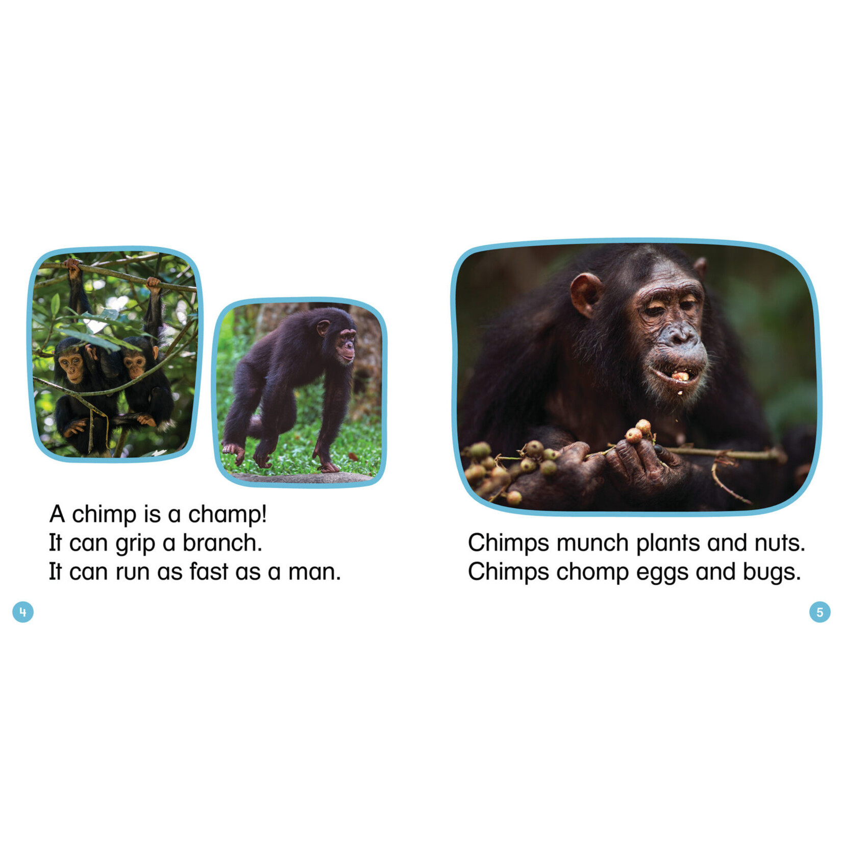 SCHOLASTIC TEACHING RESOURCES Nonfiction Phonics Readers Set 2: Long Vowels, Digraphs & More