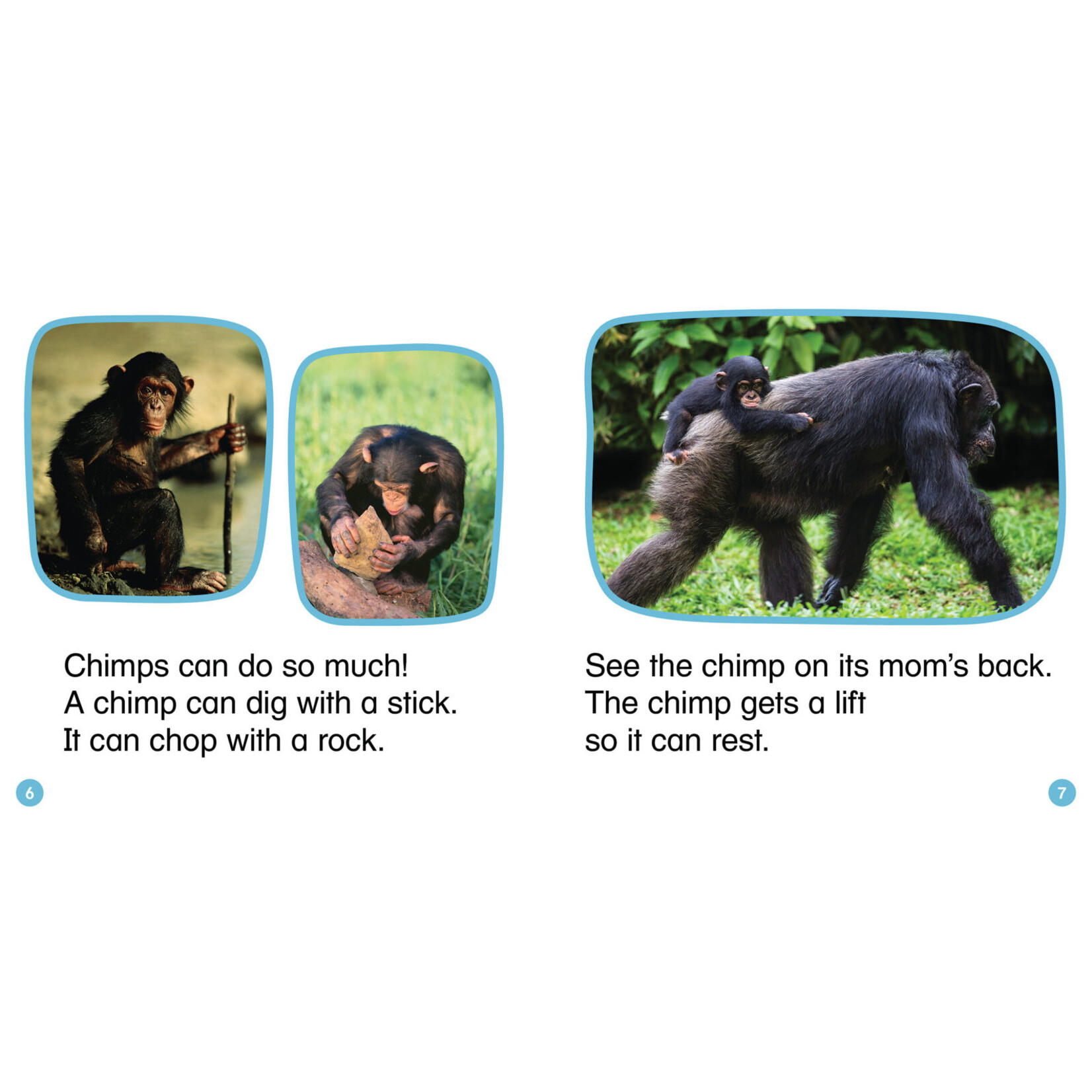 SCHOLASTIC TEACHING RESOURCES Nonfiction Phonics Readers Set 2: Long Vowels, Digraphs & More