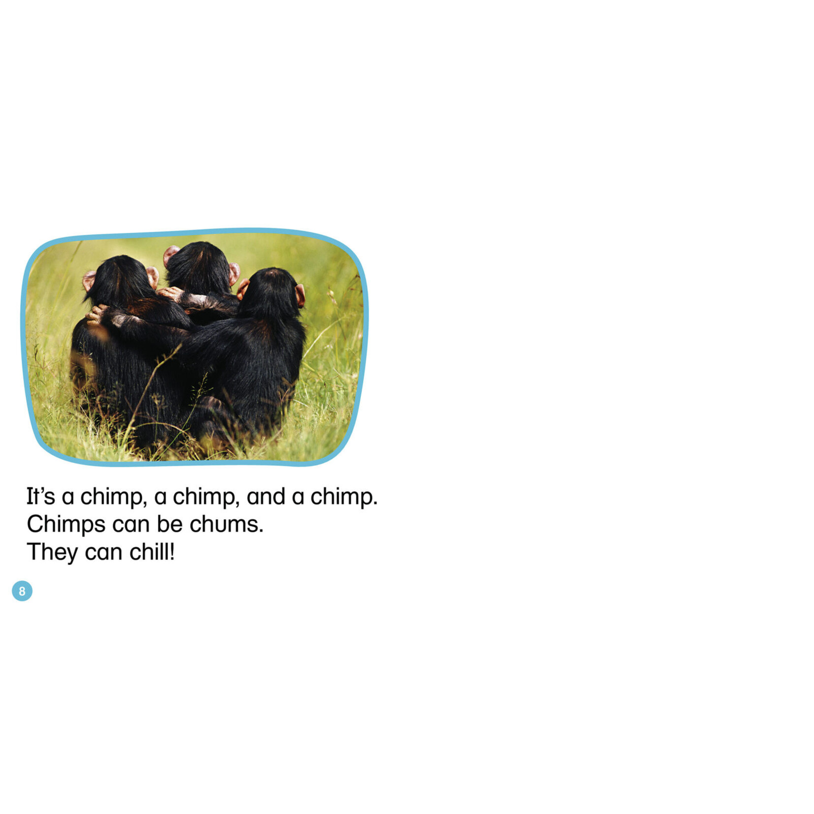 SCHOLASTIC TEACHING RESOURCES Nonfiction Phonics Readers Set 2: Long Vowels, Digraphs & More