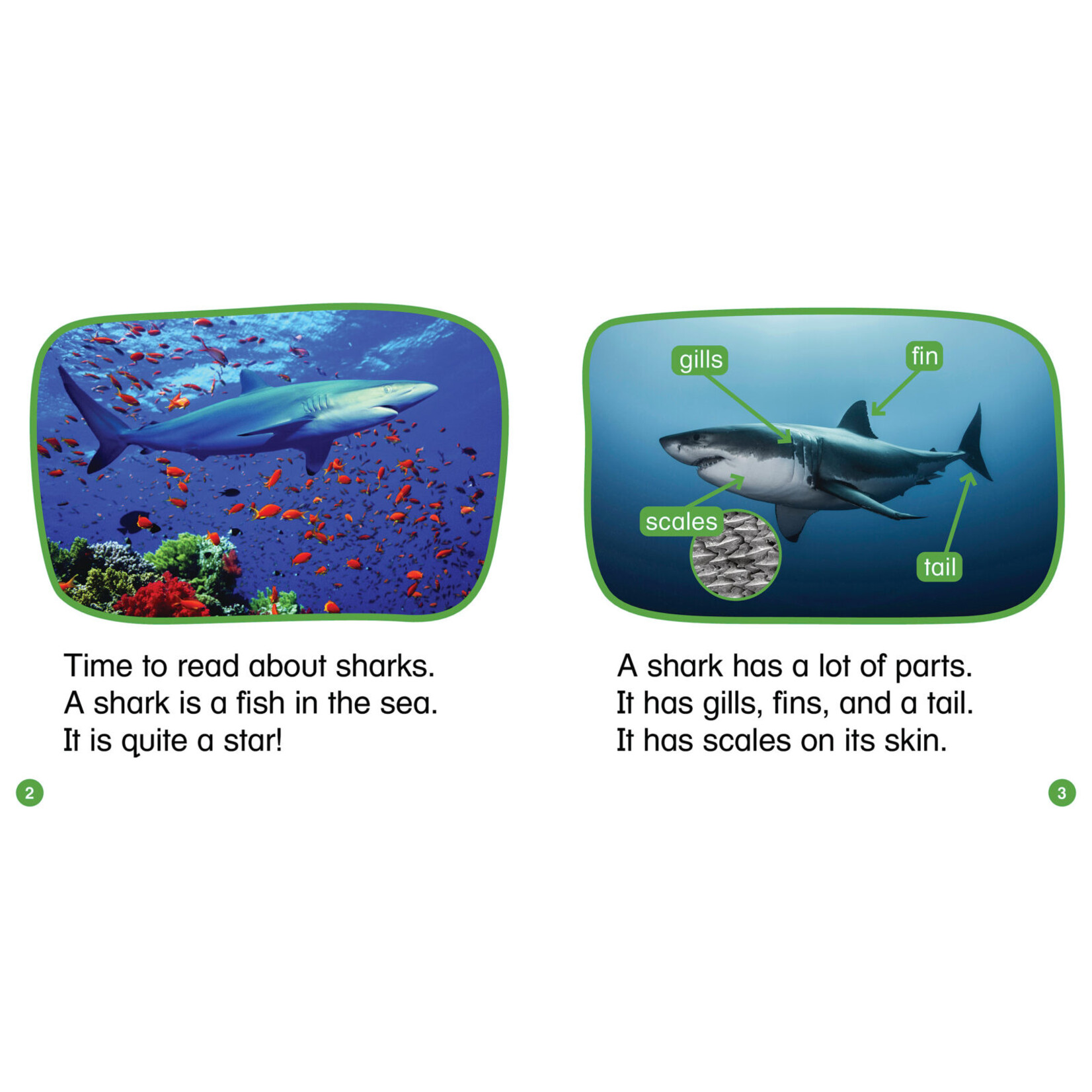 SCHOLASTIC TEACHING RESOURCES Nonfiction Phonics Readers Set 3: Controlled Vowels, Variant Vowels & More