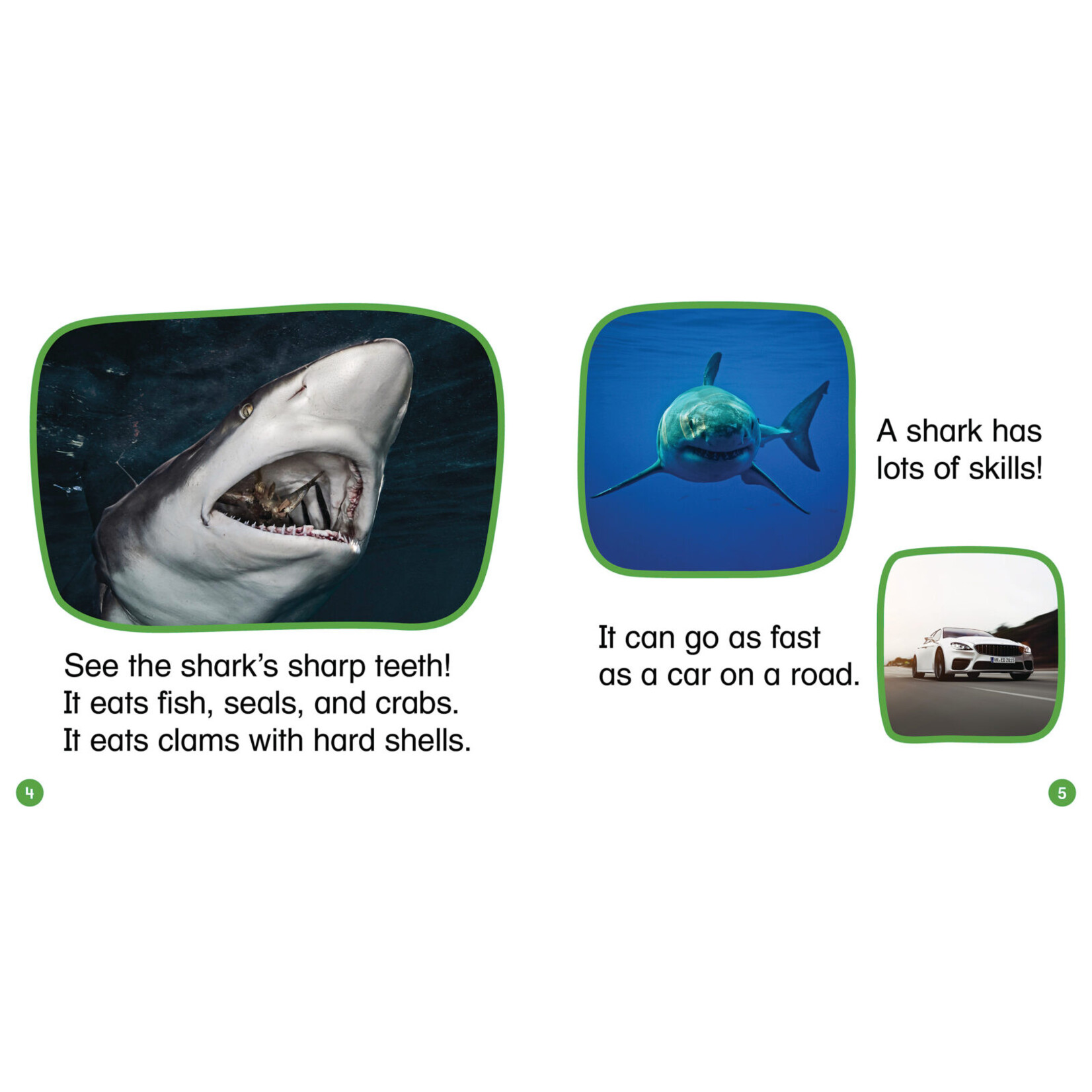 SCHOLASTIC TEACHING RESOURCES Nonfiction Phonics Readers Set 3: Controlled Vowels, Variant Vowels & More