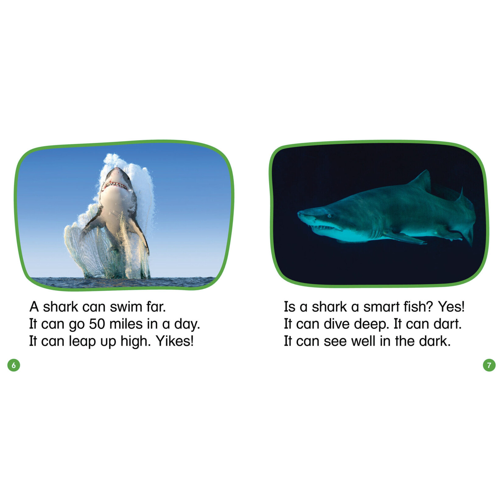 SCHOLASTIC TEACHING RESOURCES Nonfiction Phonics Readers Set 3: Controlled Vowels, Variant Vowels & More