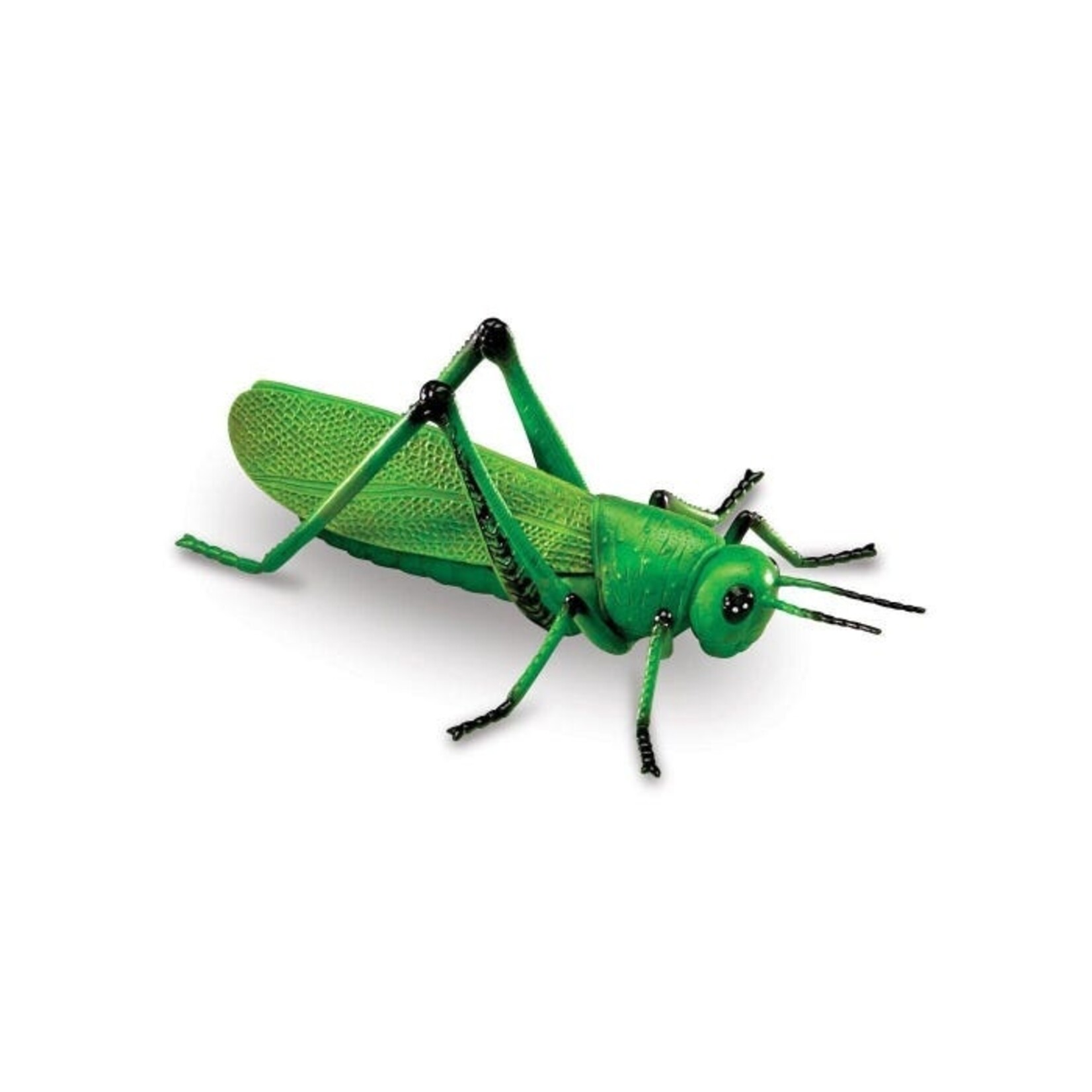 LEARNING RESOURCES INC Jumbo Insects