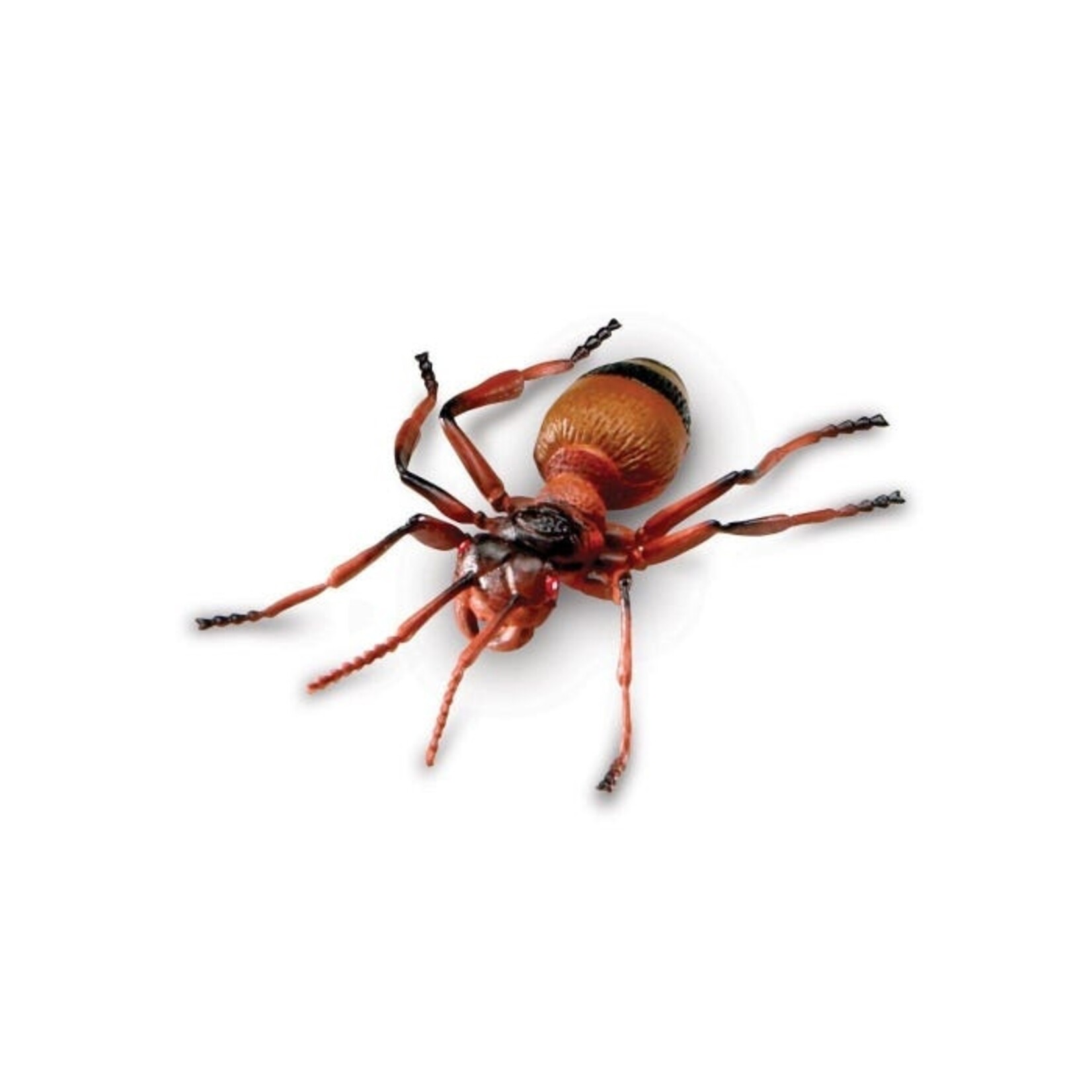 LEARNING RESOURCES INC Jumbo Insects