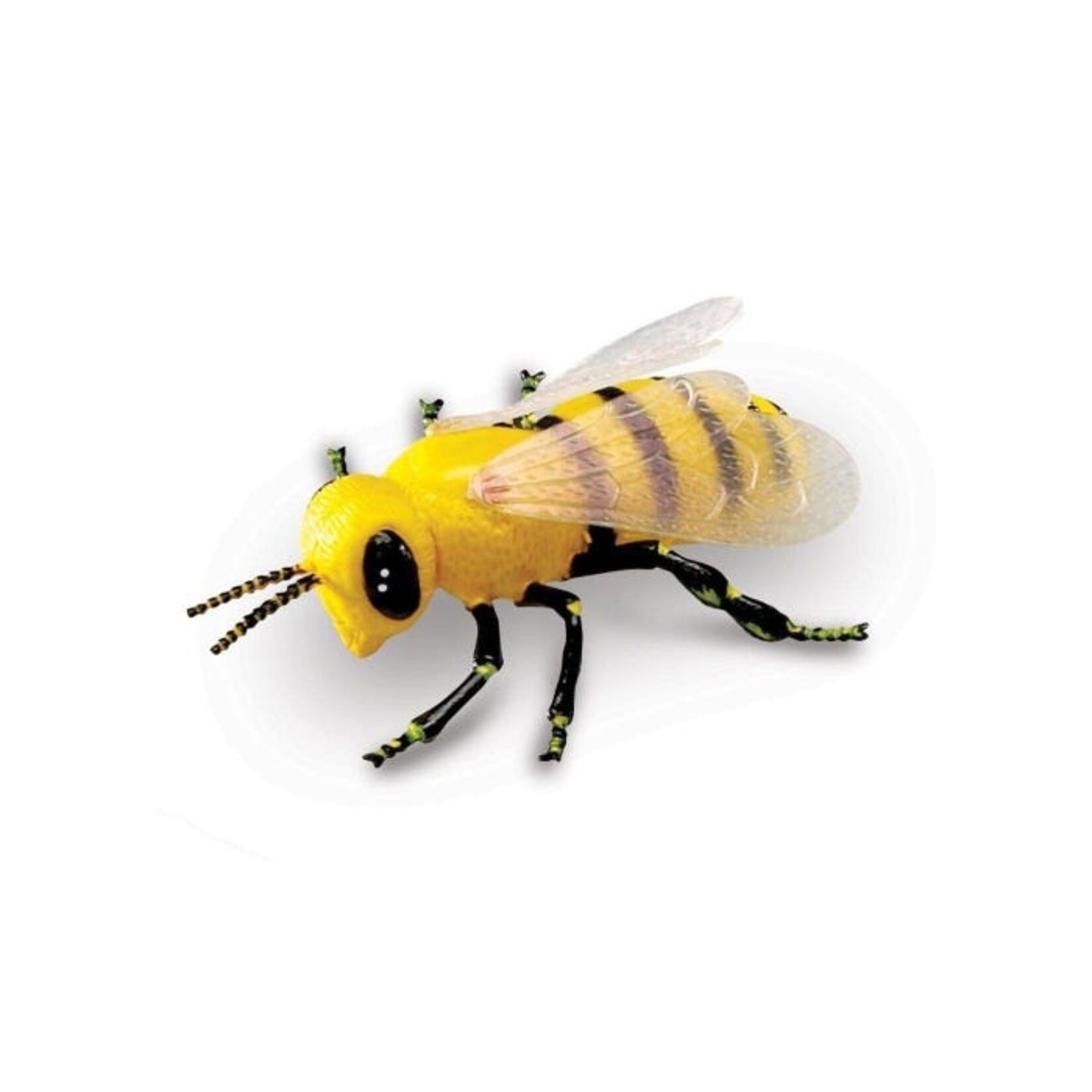 LEARNING RESOURCES INC Jumbo Insects