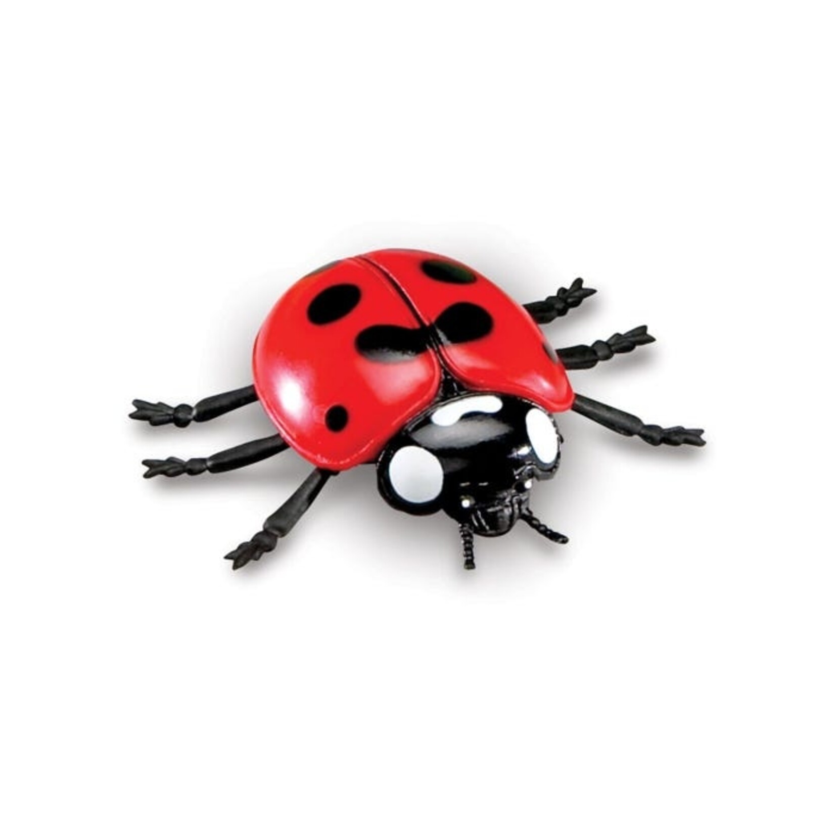 LEARNING RESOURCES INC Jumbo Insects
