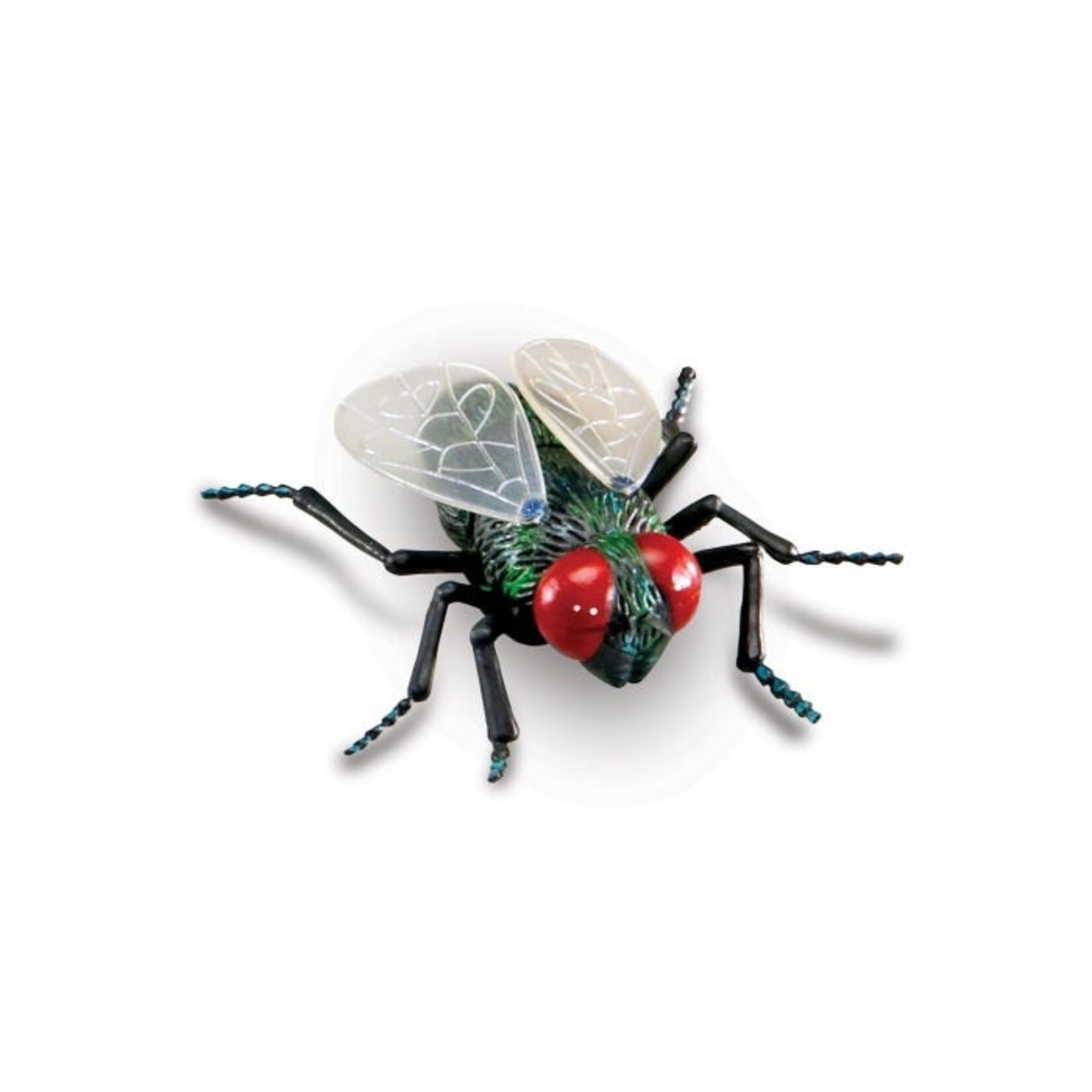 LEARNING RESOURCES INC Jumbo Insects