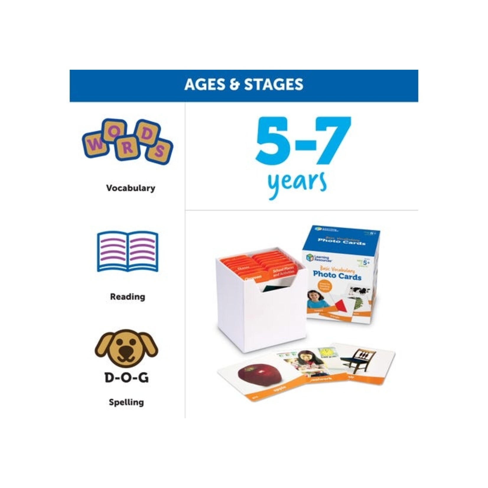LEARNING RESOURCES INC Basic Vocabulary Photo Cards Set