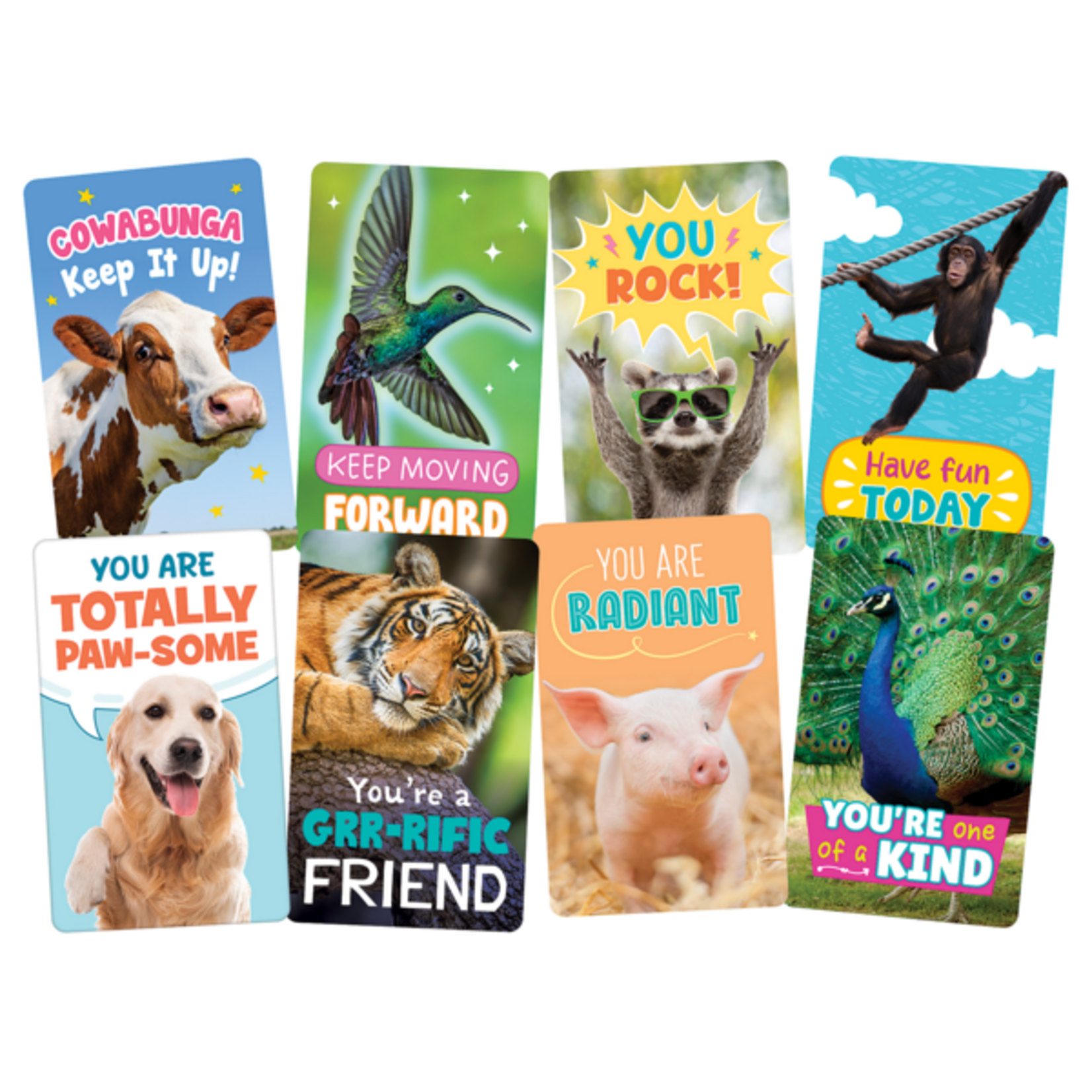 TEACHER CREATED RESOURCES Go Wild Animals Encouragement Cards