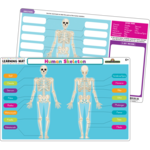 TEACHER CREATED RESOURCES Human Skeleton Learning Mat