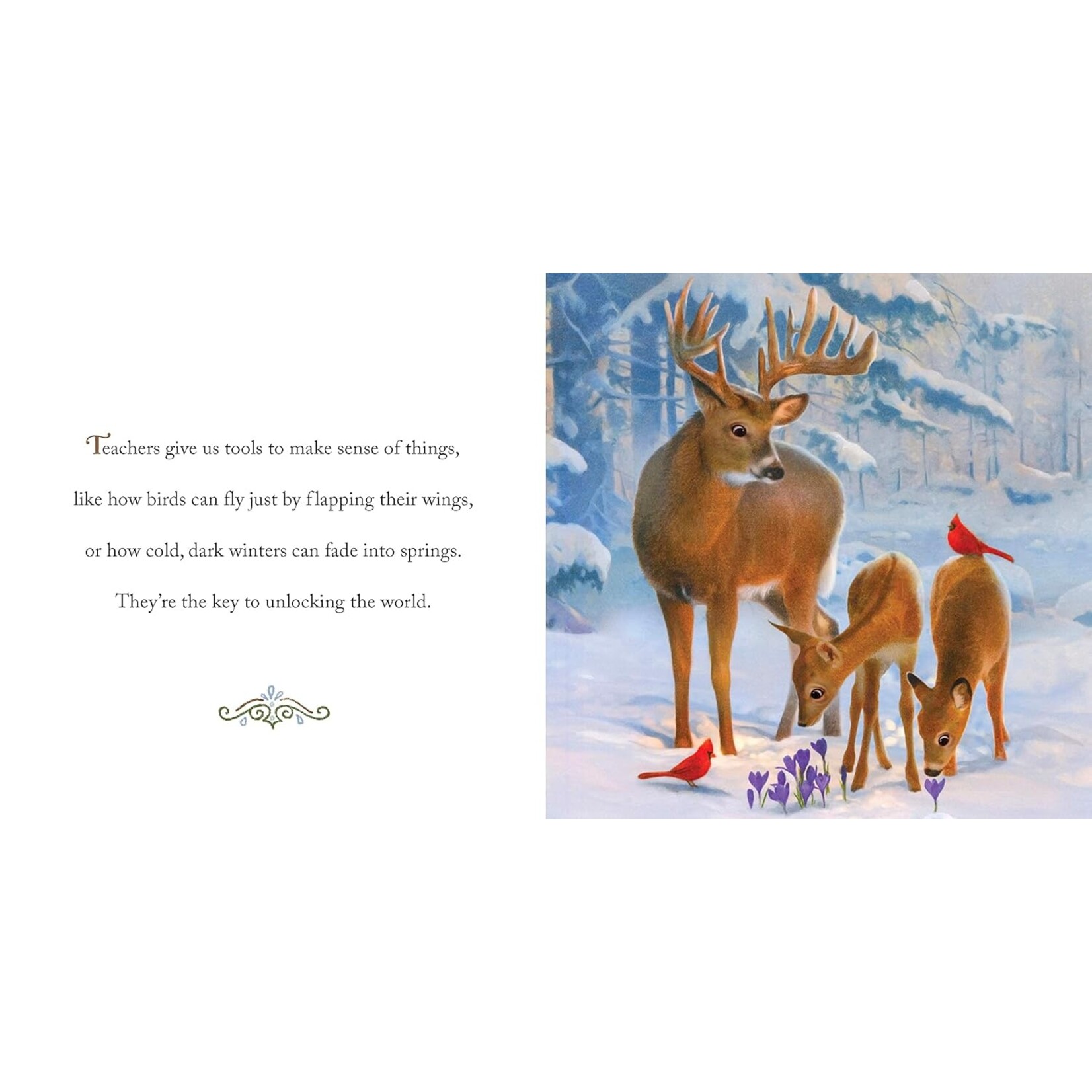 Why We Need Teachers