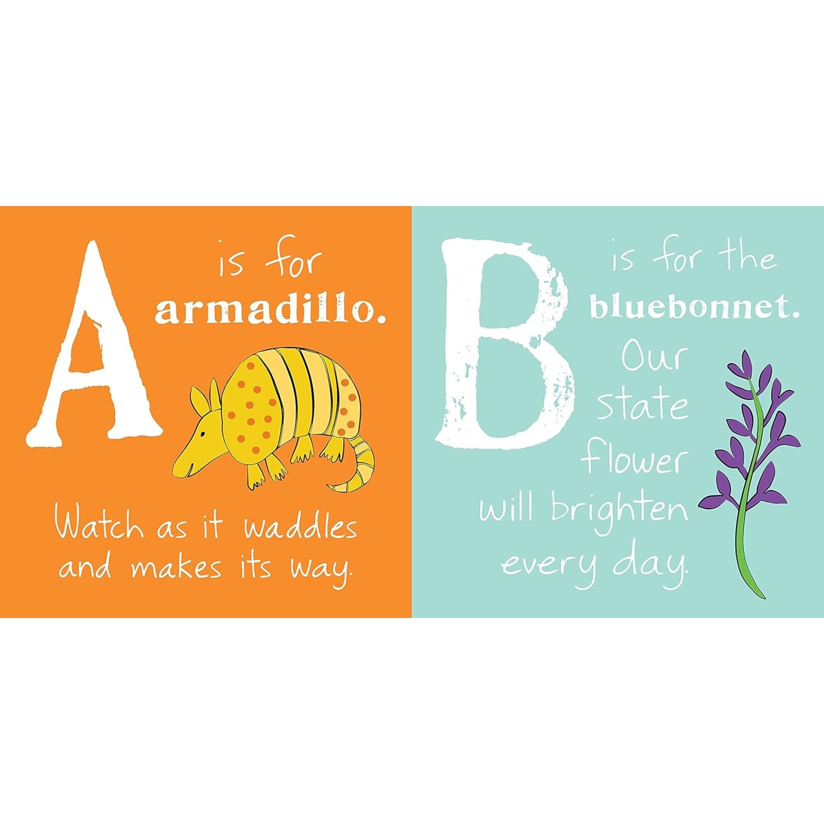 ABCs of Texas