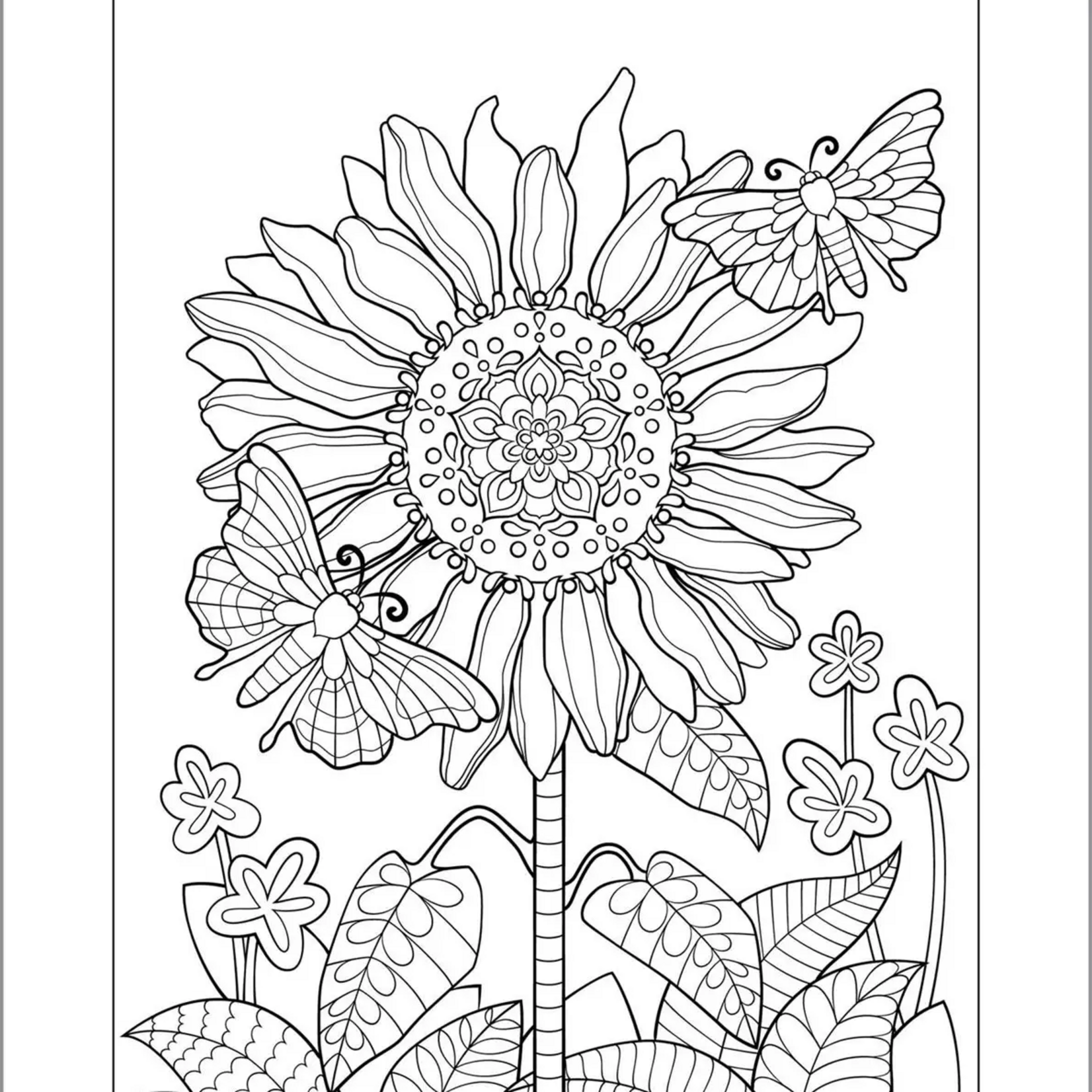 Anxiety Relief Coloring Book For Adults