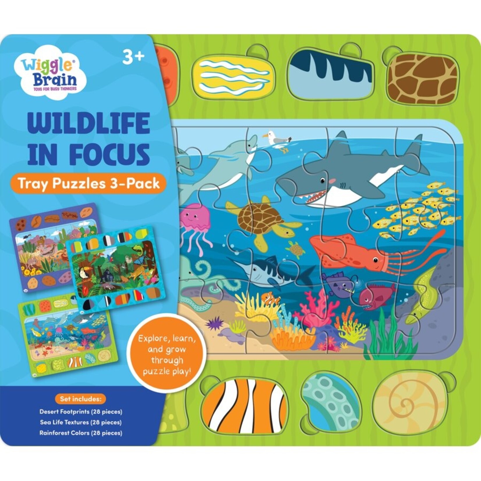 TEACHER CREATED RESOURCES Wiggle Brain Tray Puzzles: Wildlife in Focus