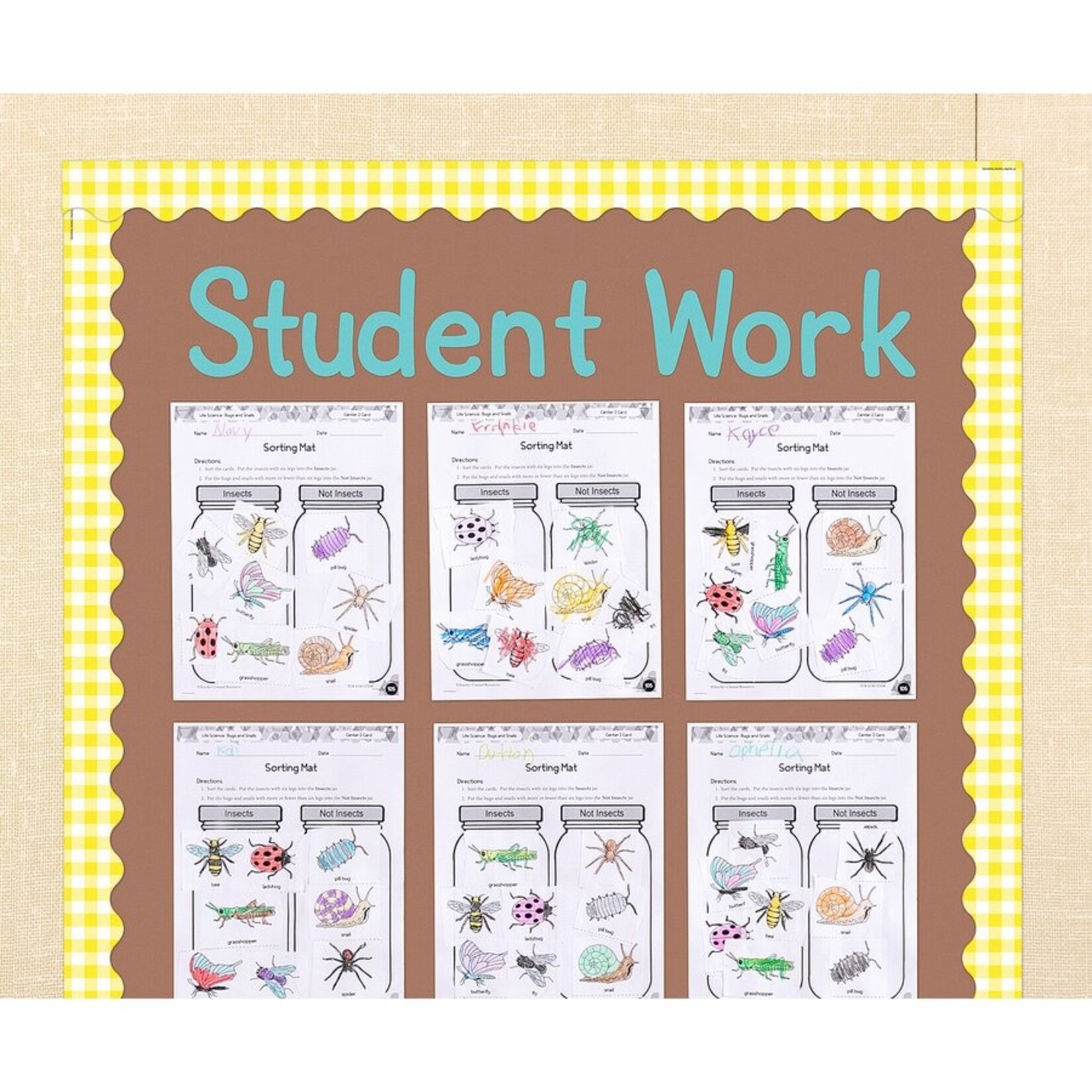TEACHER CREATED RESOURCES Mocha Better Than Paper Bulletin Board Roll
