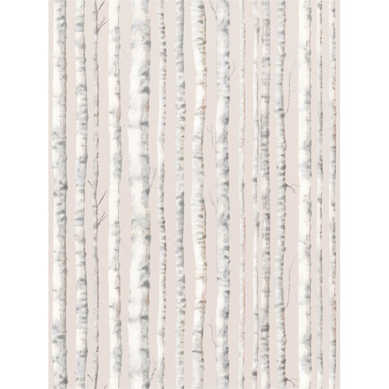 TEACHER CREATED RESOURCES Birch Trees Better Than Paper Bulletin Board Roll
