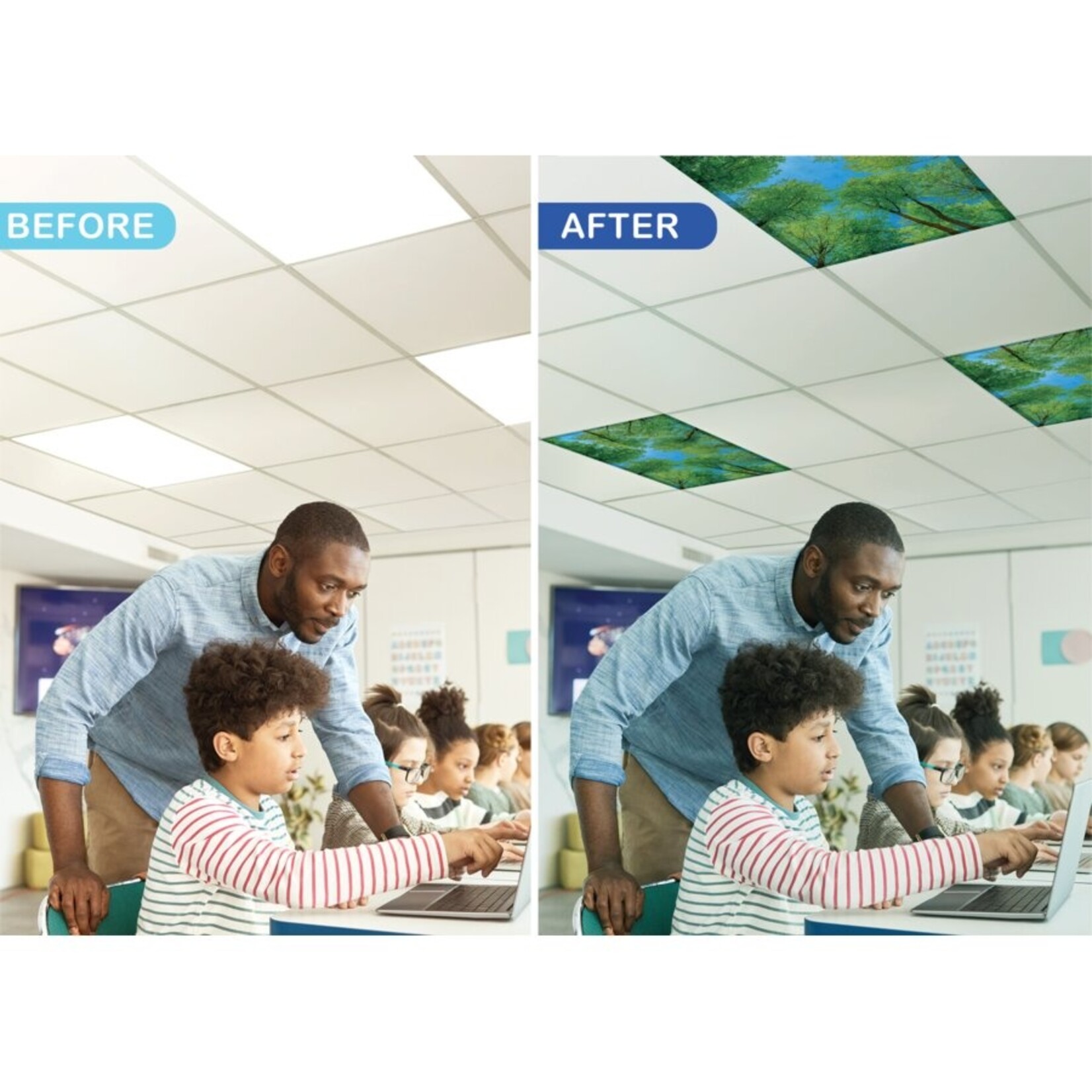 TEACHER CREATED RESOURCES Forest Calming Covers Ceiling Light Filters