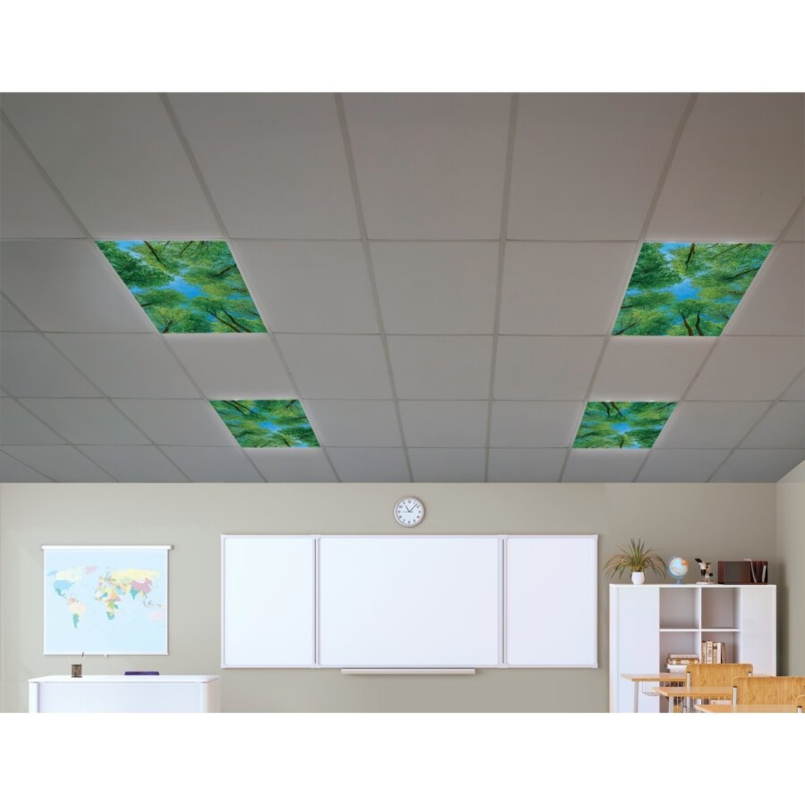 TEACHER CREATED RESOURCES Forest Calming Covers Ceiling Light Filters