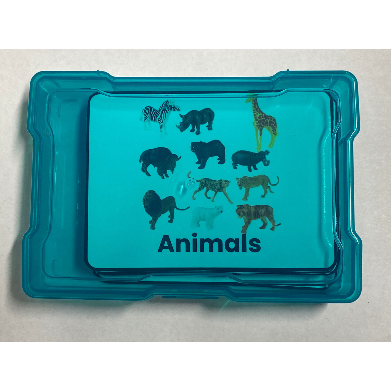 Stimuli Cards Animals