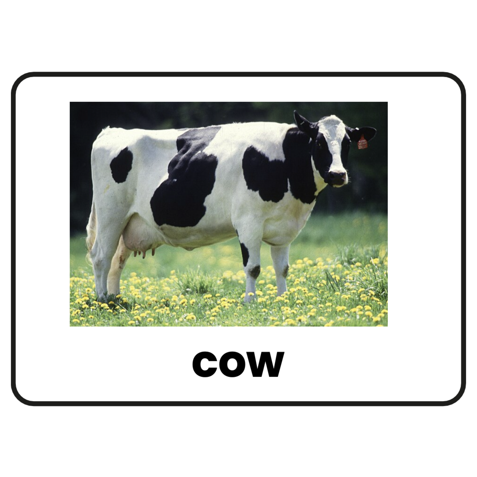 Stimuli Cards Farm