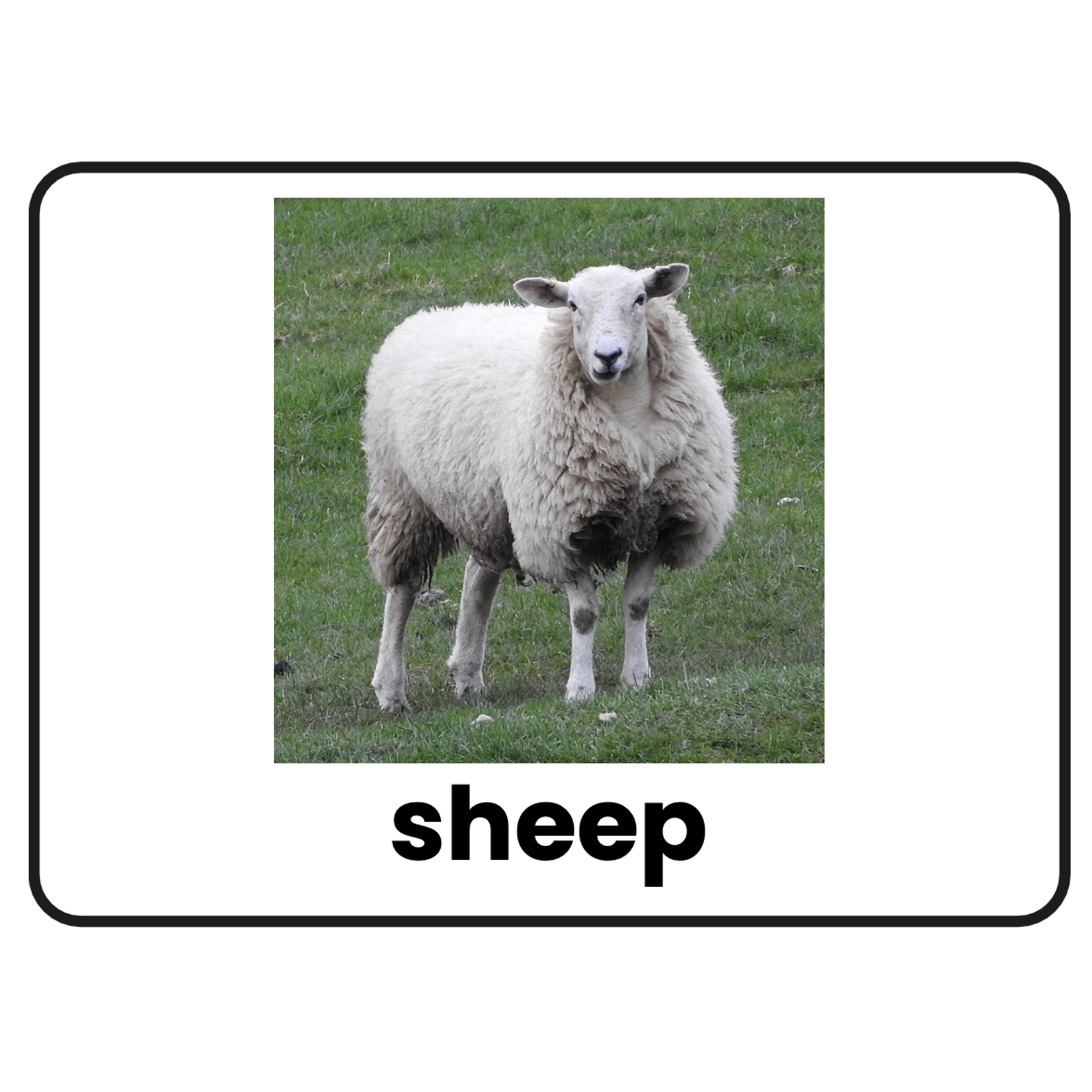 Stimuli Cards Farm
